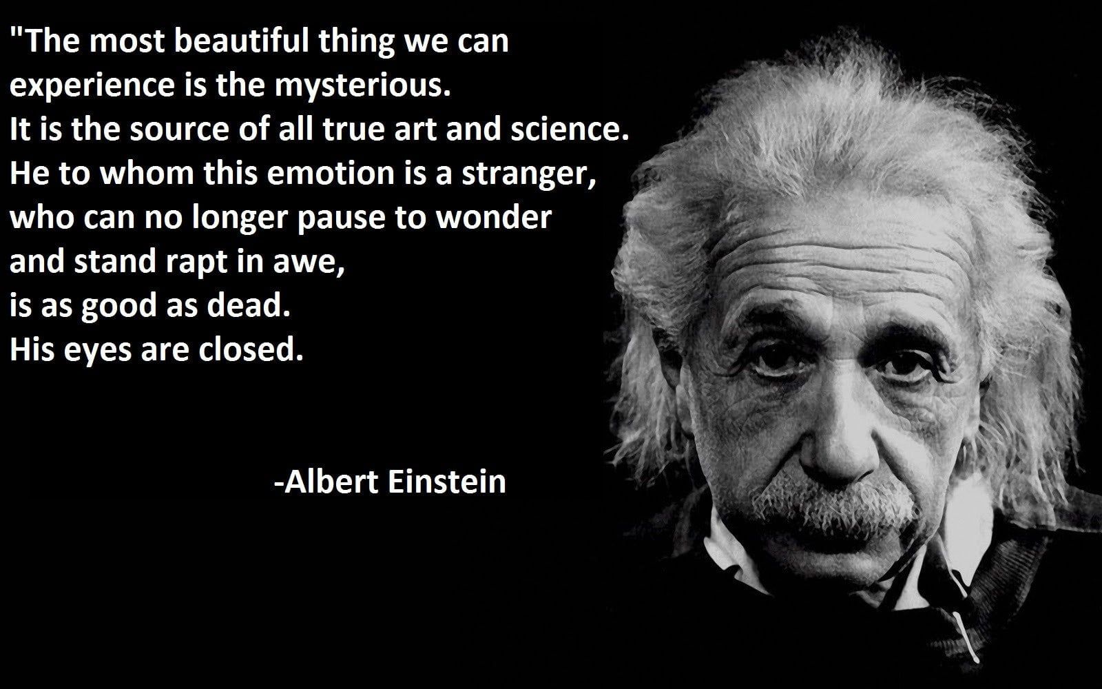 1600x1000 Einstein wallpaper