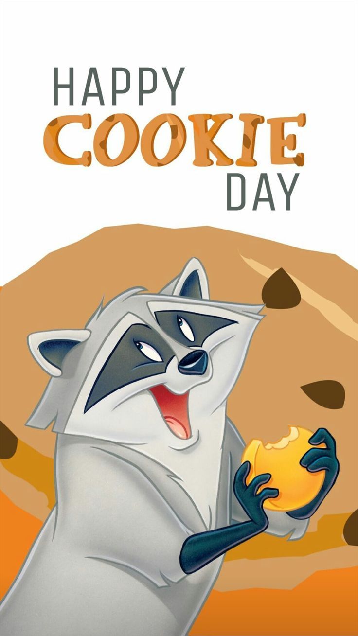 736x1308 Meeko pocahontas wallpaper. Meeko pocahontas tattoo, Meeko pocahontas drawing, Raccoon