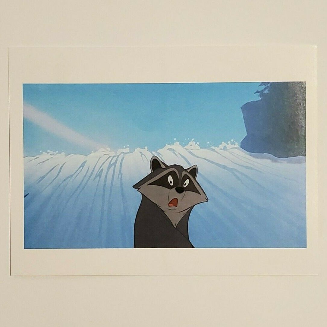 1085x1085 Pocahontas Postcard Disney Meeko Racoon