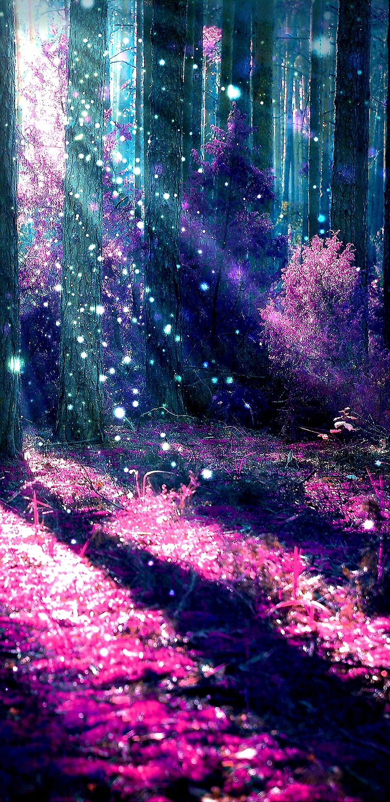 800x1644 Fantasy Forest, fantasy, forest, magic, pink, sparkle, HD phone wallpaper
