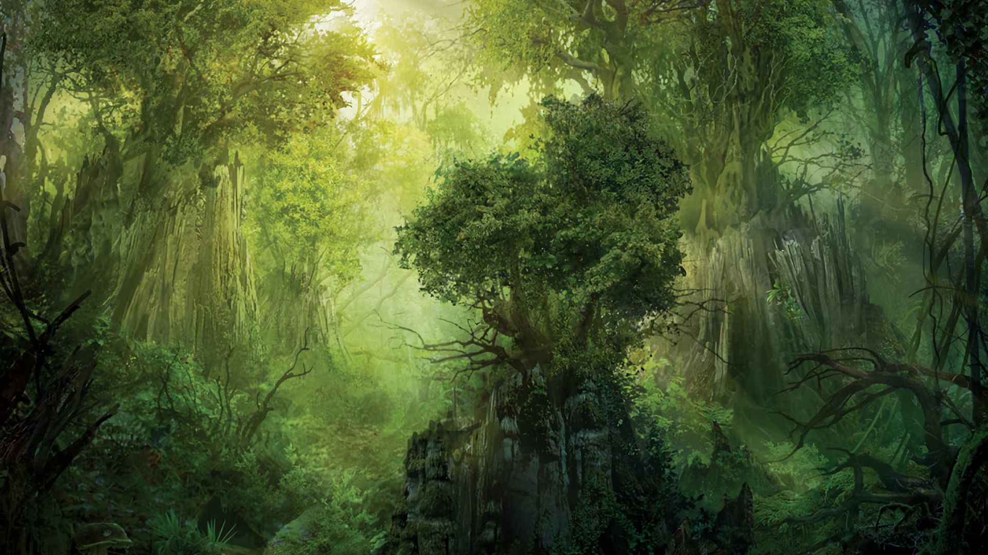 1920x1080 Fantasy Forest Rock And Trees HD Magic The Gathering Wallpaper