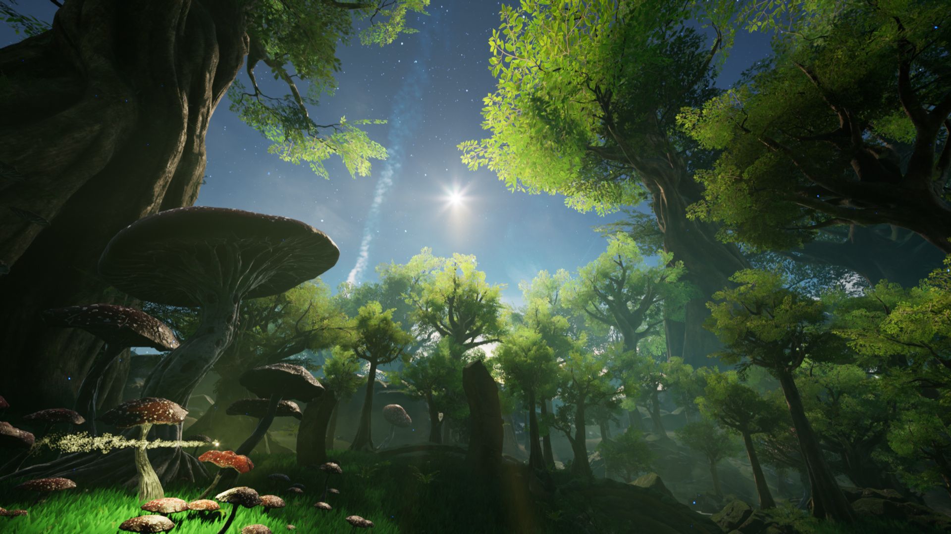 1920x1080 Fantasy Forest