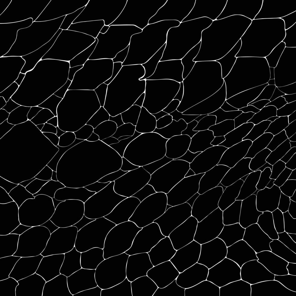 980x980 Crocodile or alligator skin print pattern. Monochrome leather fashion, wallpaper or background and more