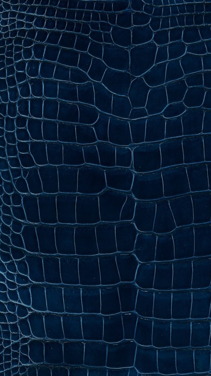 736x1308 Blue Alligator Skin iPhone Wallpaper. Blue crocodile wallpaper, Indigo macbook wallpaper, Dark navy blue texture
