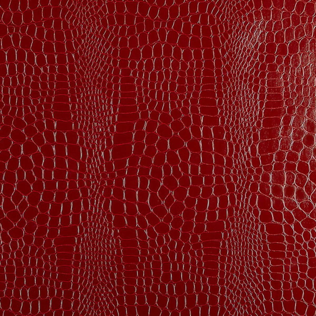 1200x1200 Crocodile