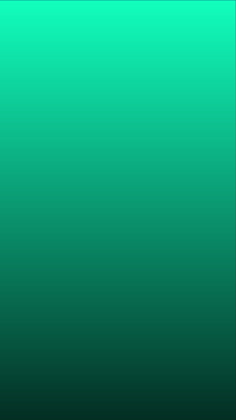 800x1422 Green Shade, gradient, background, HD phone wallpaper