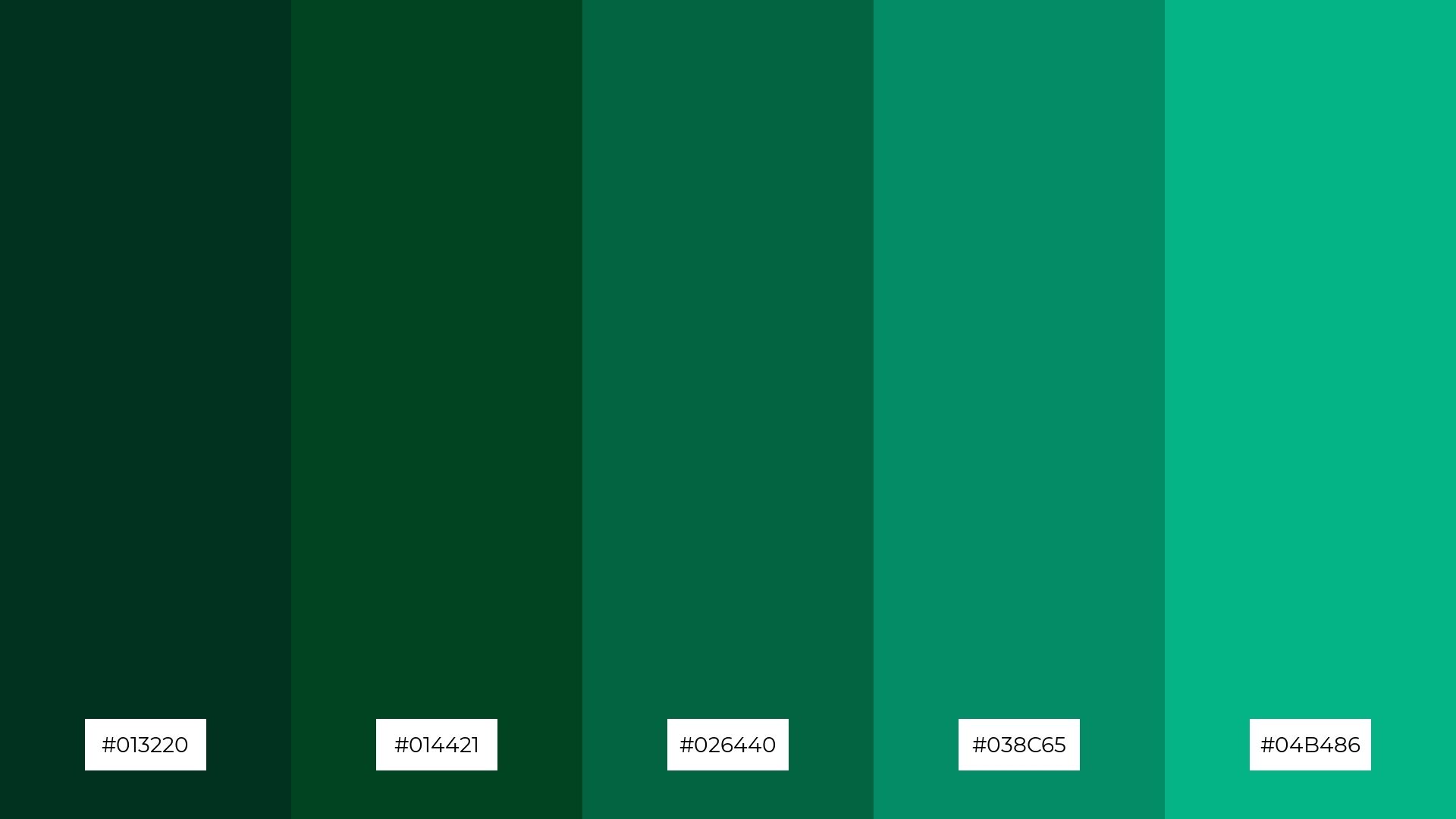 1920x1080 The Best 15 Dark Green Color Palette Combinations