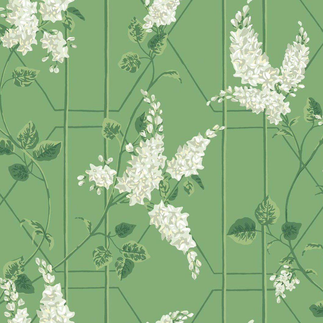 1059x1060 Wisteria
