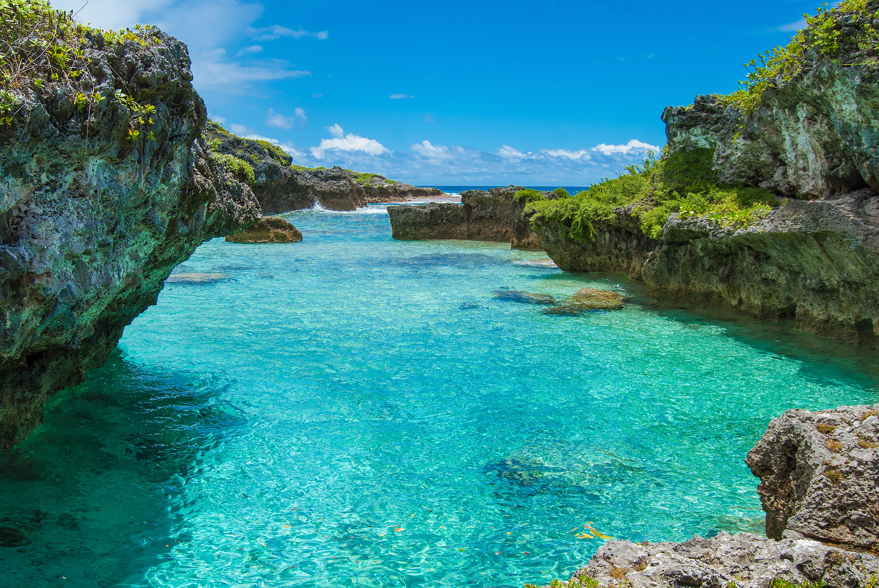 1800x1205 Reasons To Visit Niue, The Pacific Island You've Never Heard Of