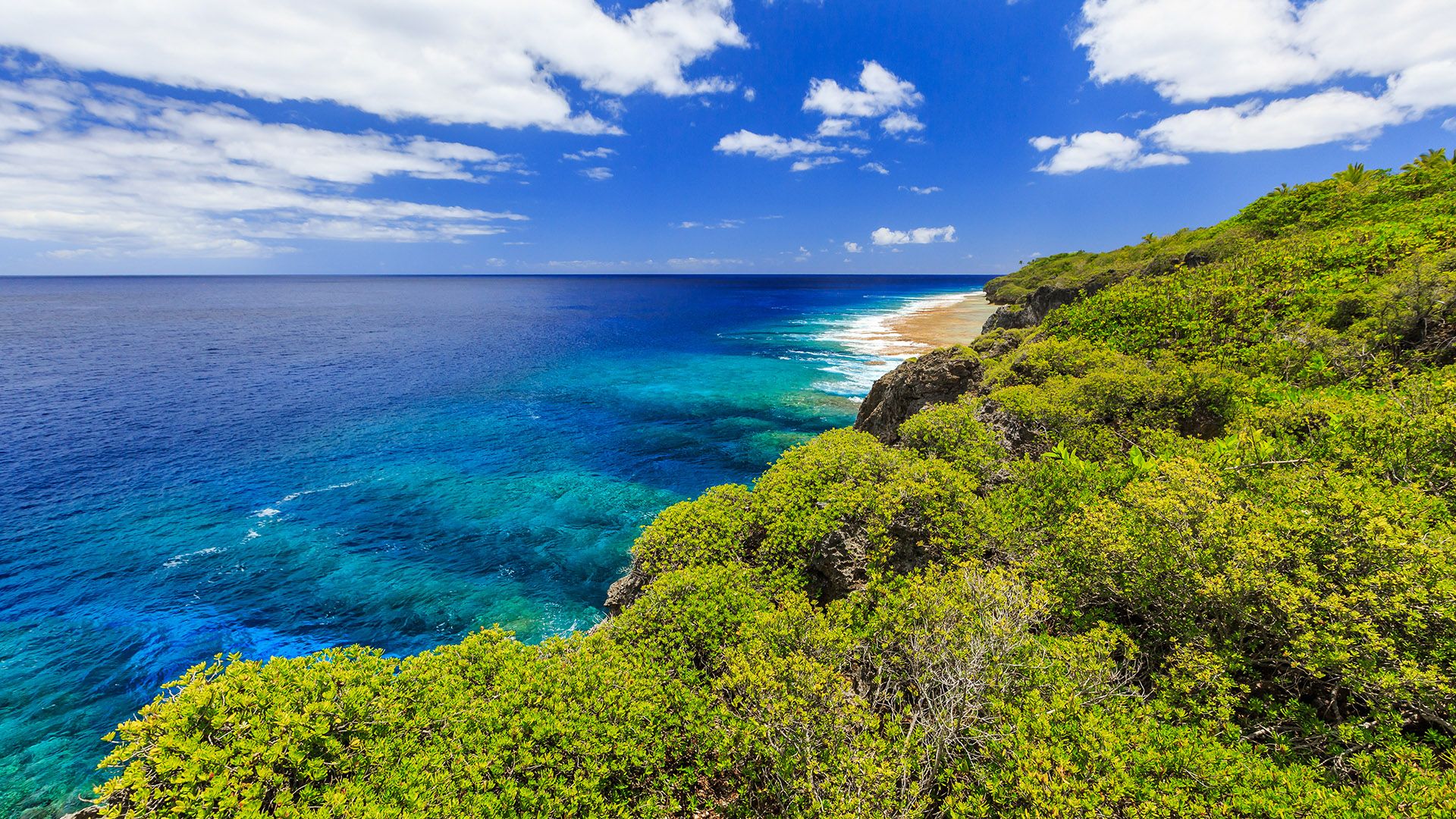 1920x1080 Belt And Road Travel】Must Try Activities In Niue: Swimming With Whales And Gazing At Light Free Starry Sky｜ GreaterGo