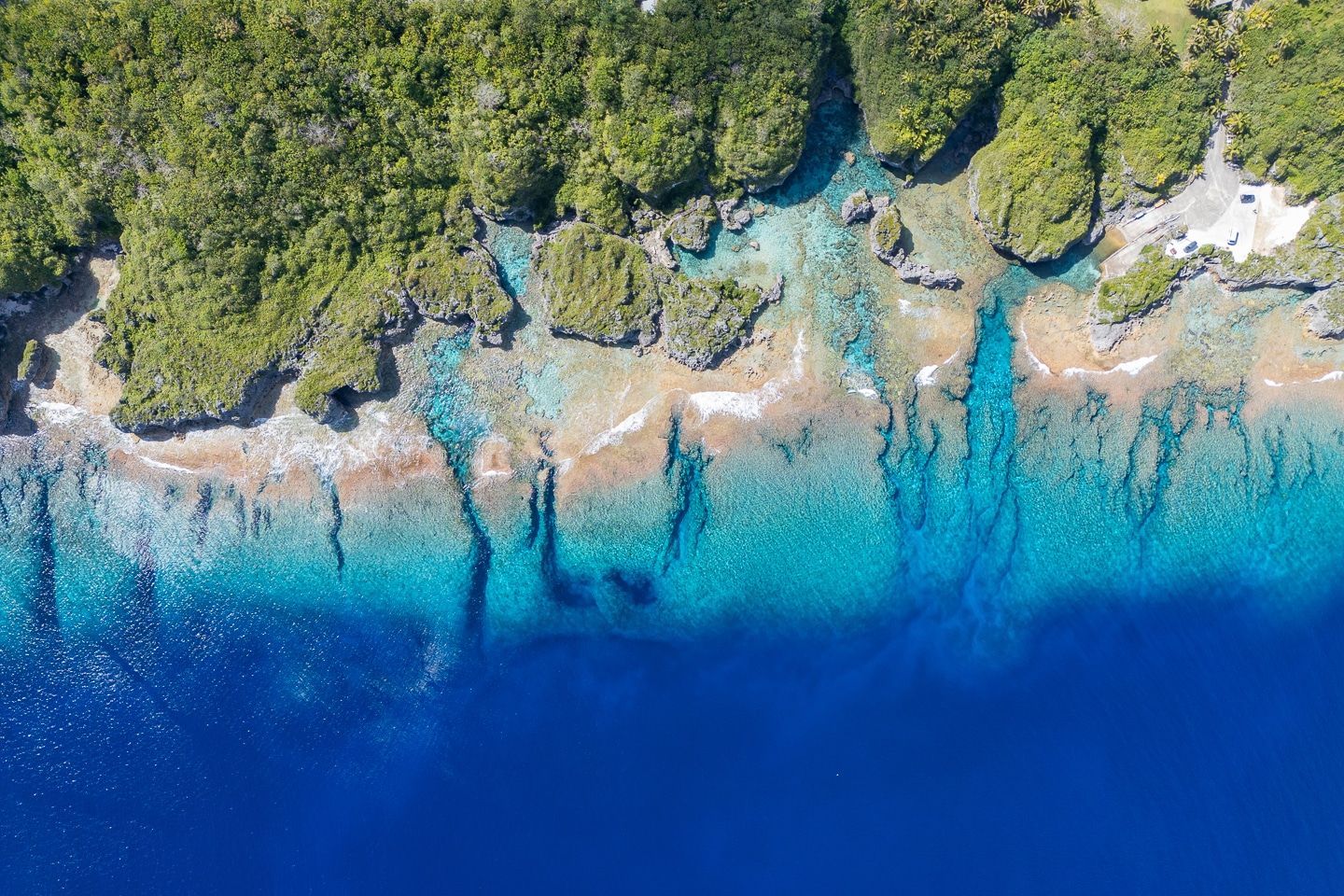 1440x960 Promoting Coexistence Between Sharks and Fishers in Niue