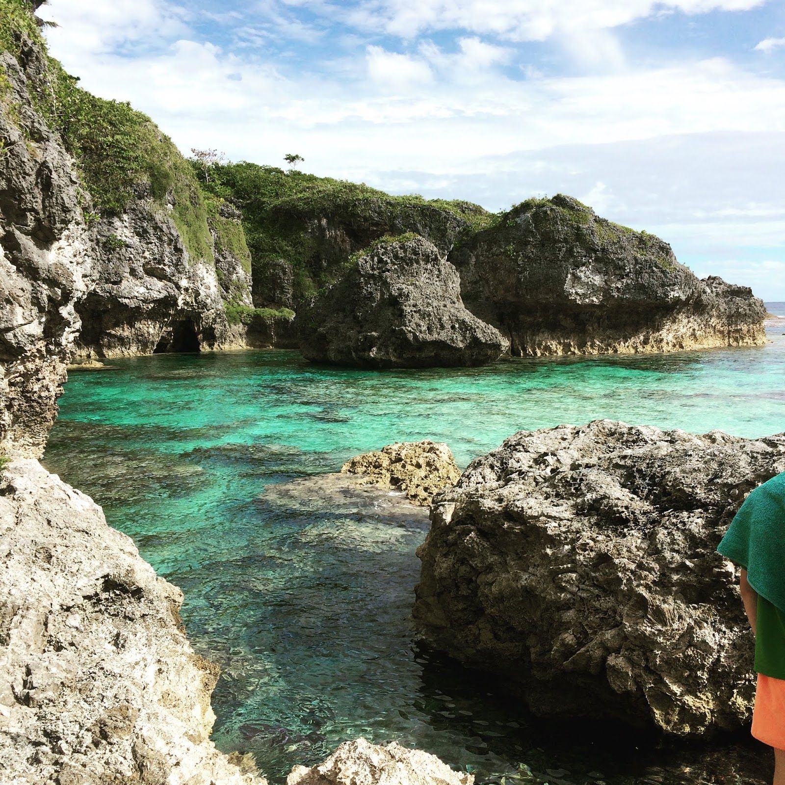 1600x1600 Alessandra Zecchini: Niue, eating vegetarian from a plantation