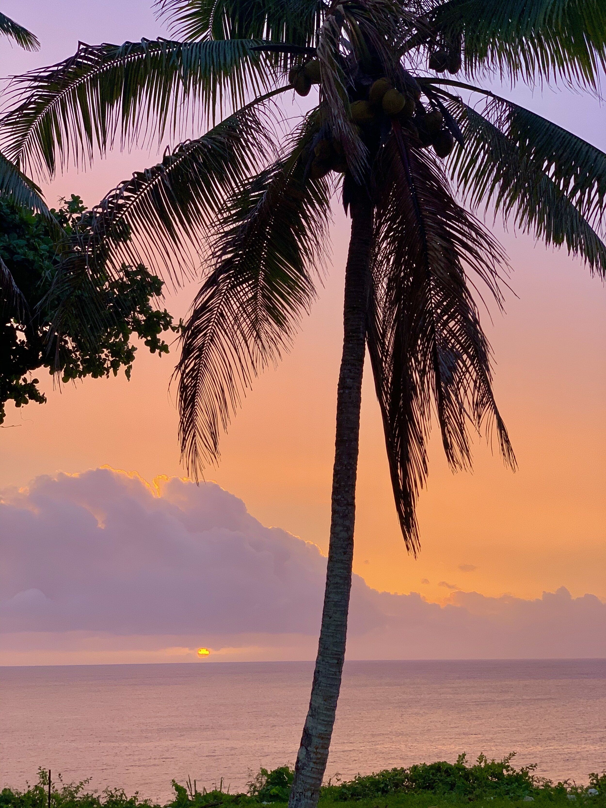 2500x3333 Planting new seeds on Niue