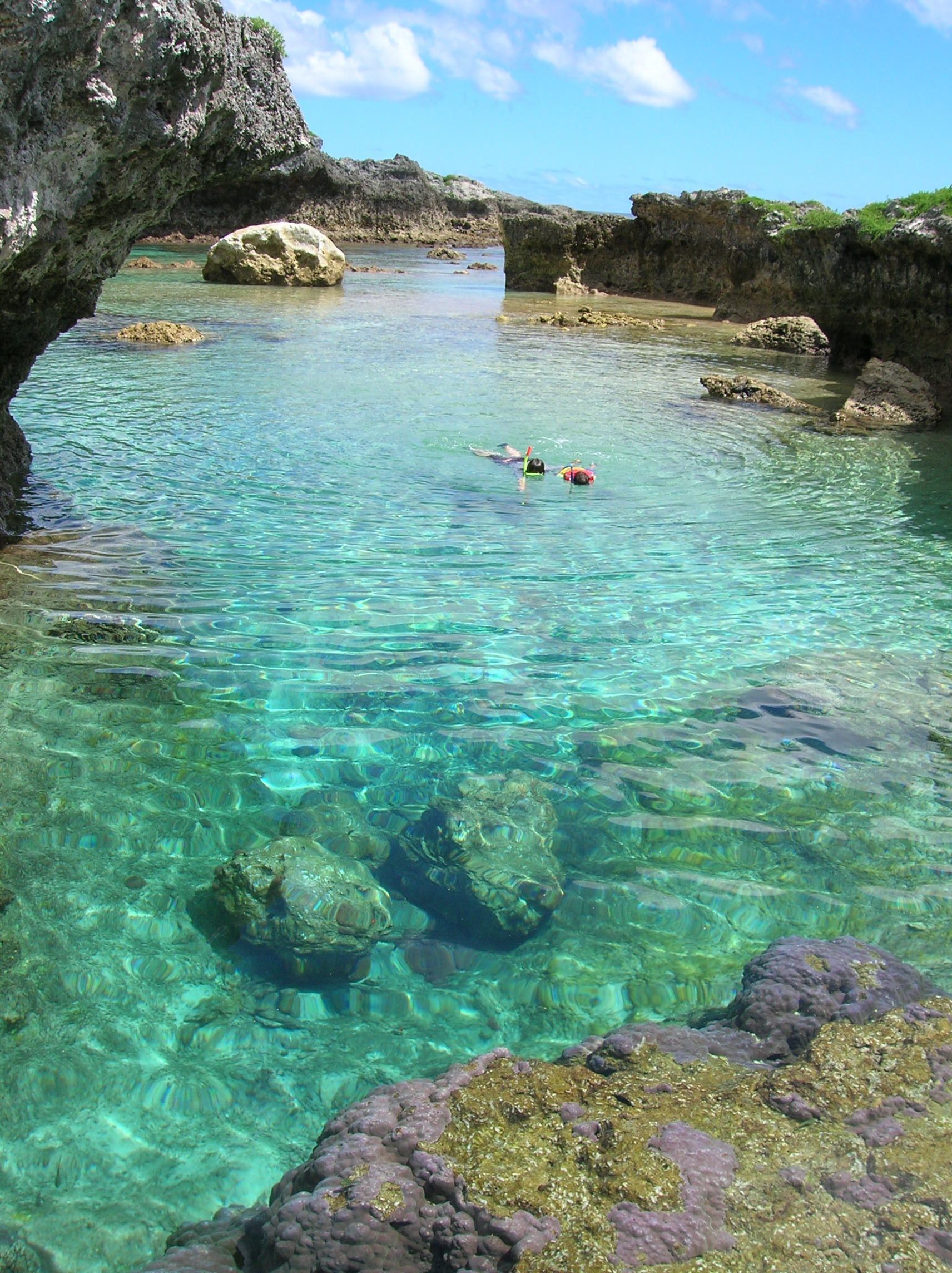 1712x2288 Niue Wallpaper