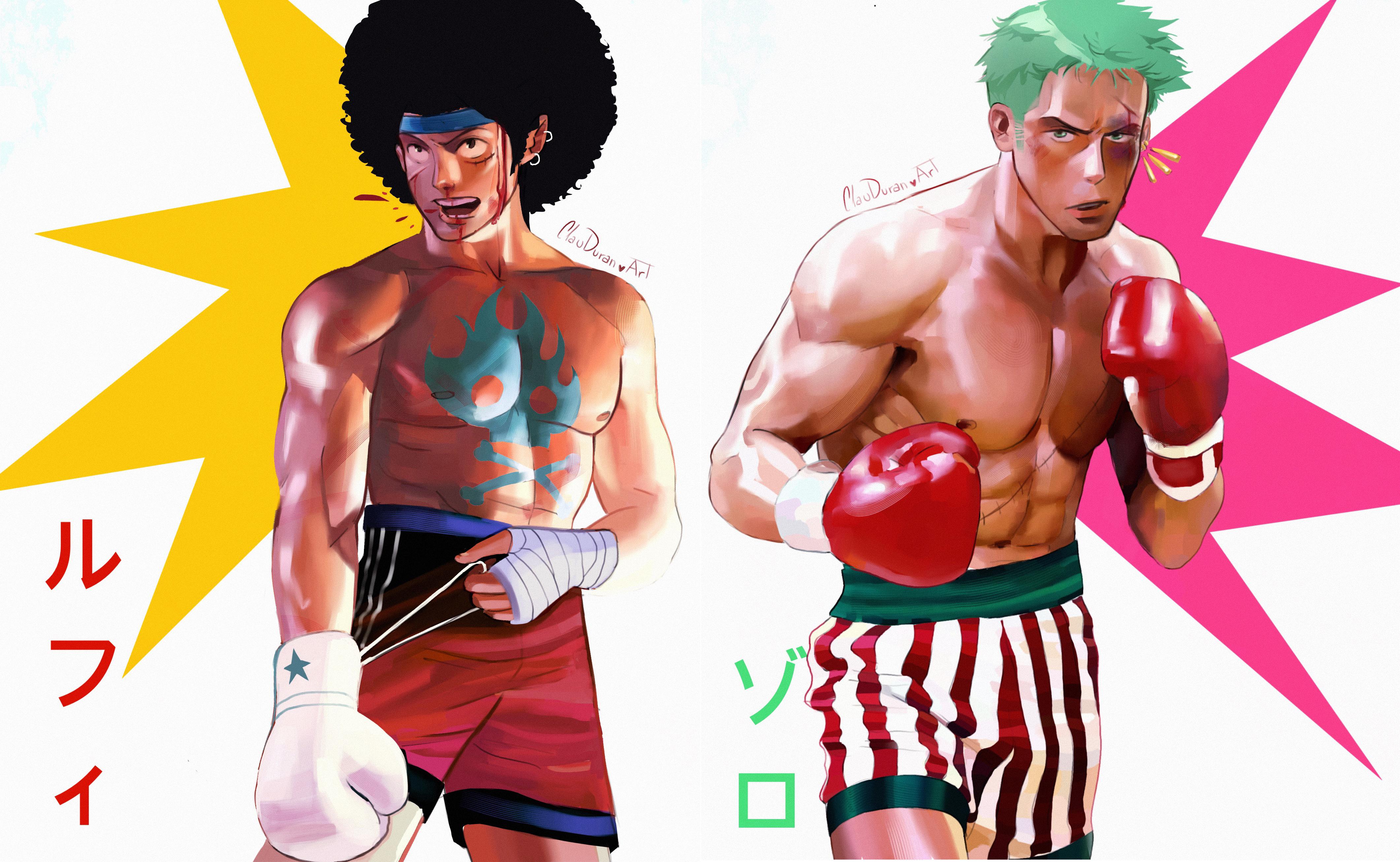 4243x2611 Luffy and Zoro boxers Fanart!