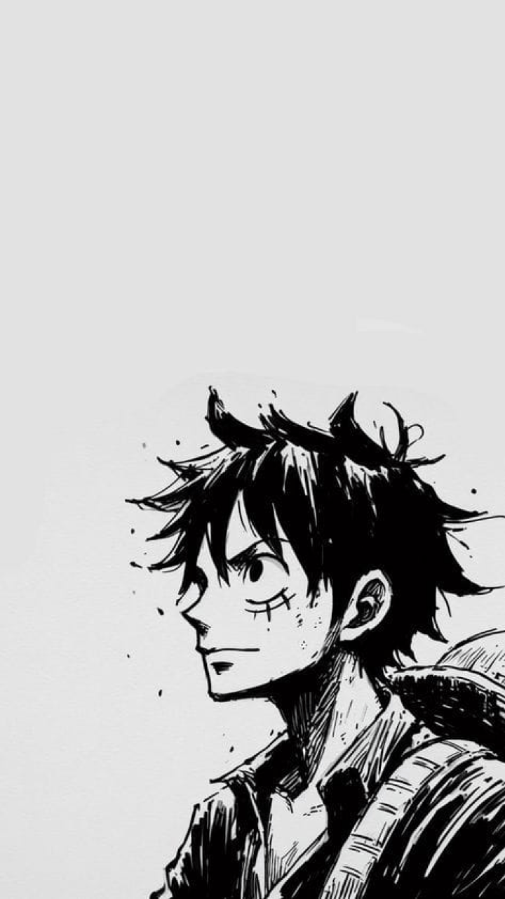 720x1280 Best Monkey D. Luffy Wallpaper For Your Phone