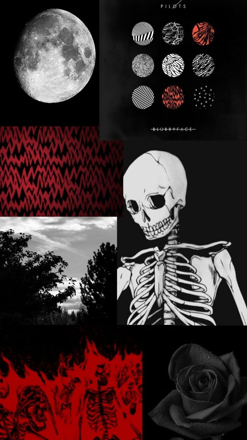 800x1422 Twenty One Collage, alternative, bands, music, rock, twenty one pilots, HD phone wallpaper