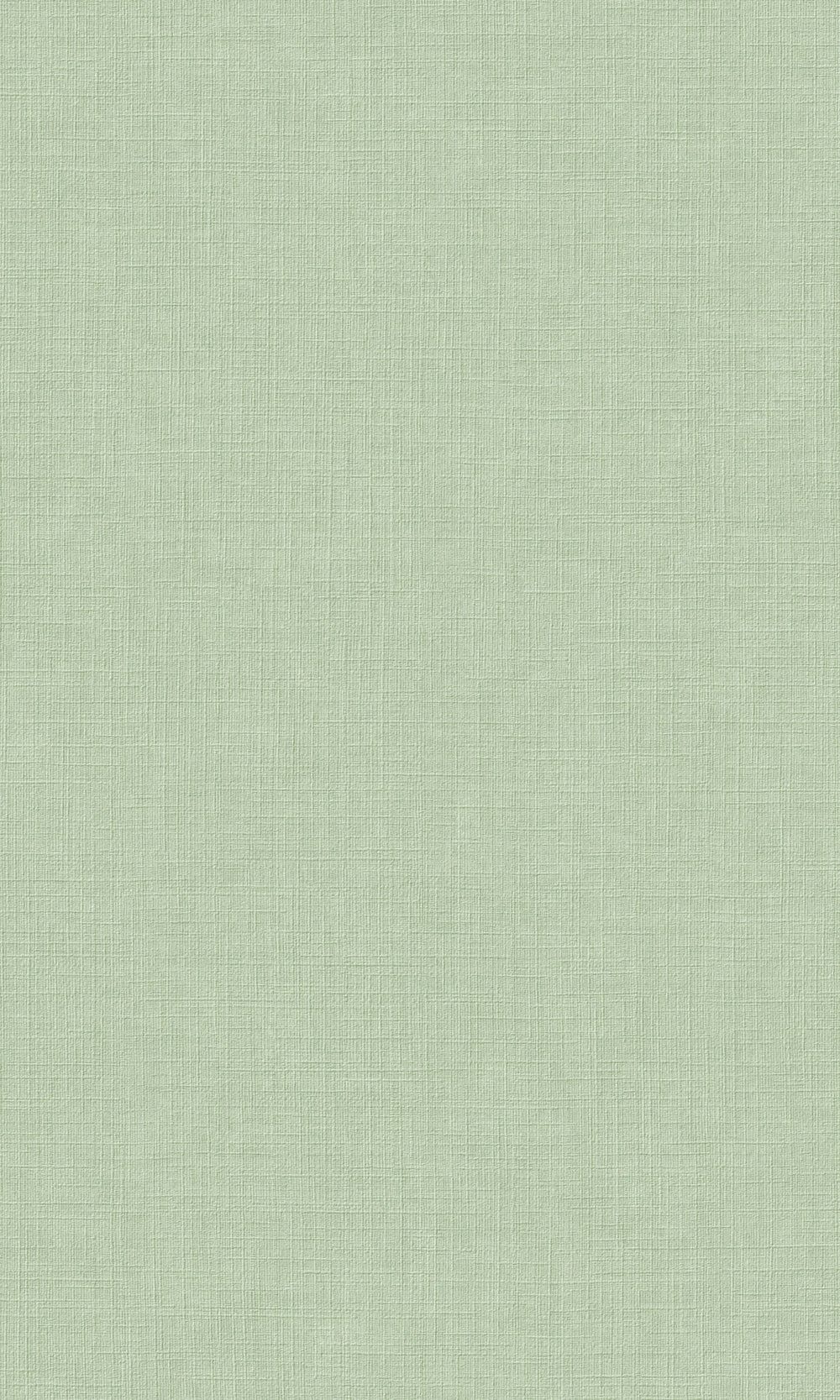 1000x1667 Light Green Plain Textured Wallpaper R9234