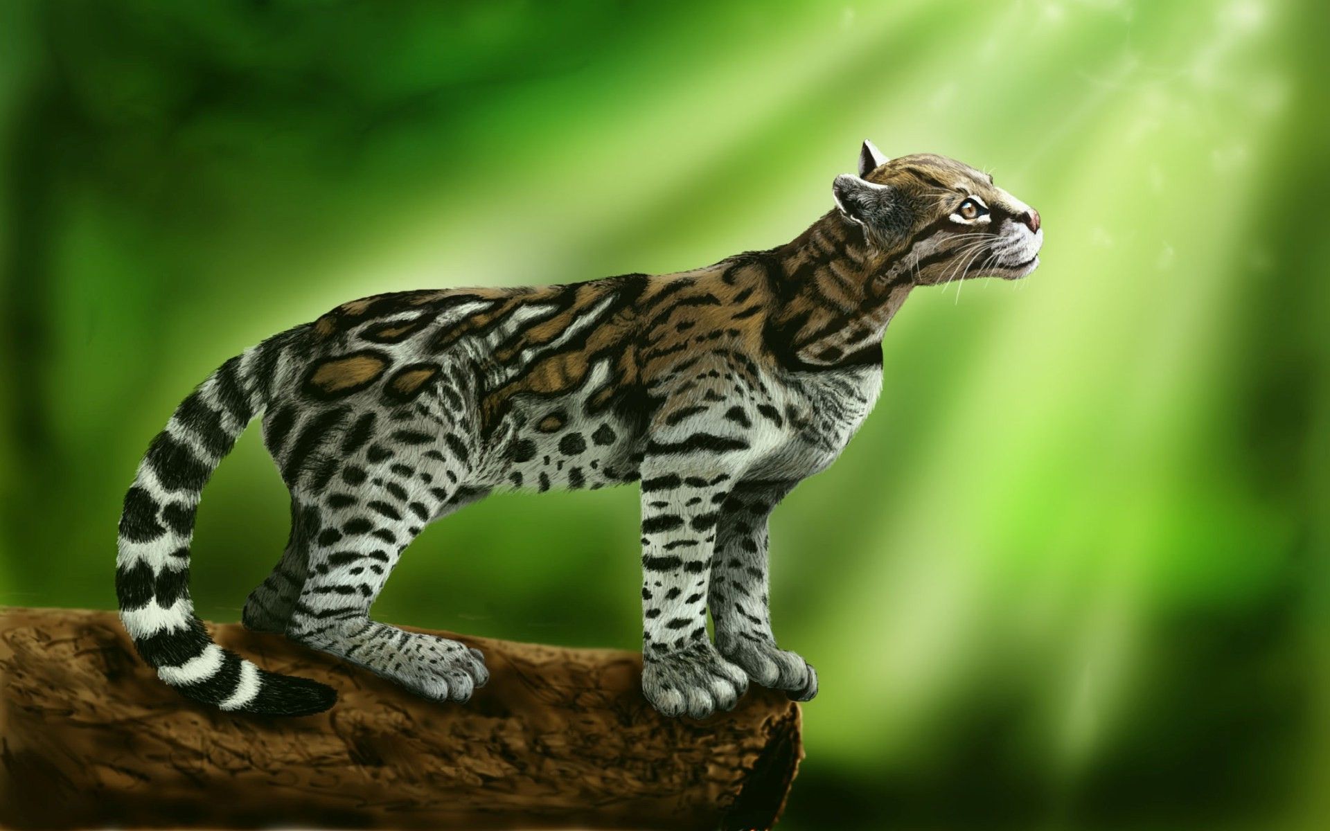 1920x1200 cat, Ocelots, Animals Wallpaper HD / Desktop and Mobile Background