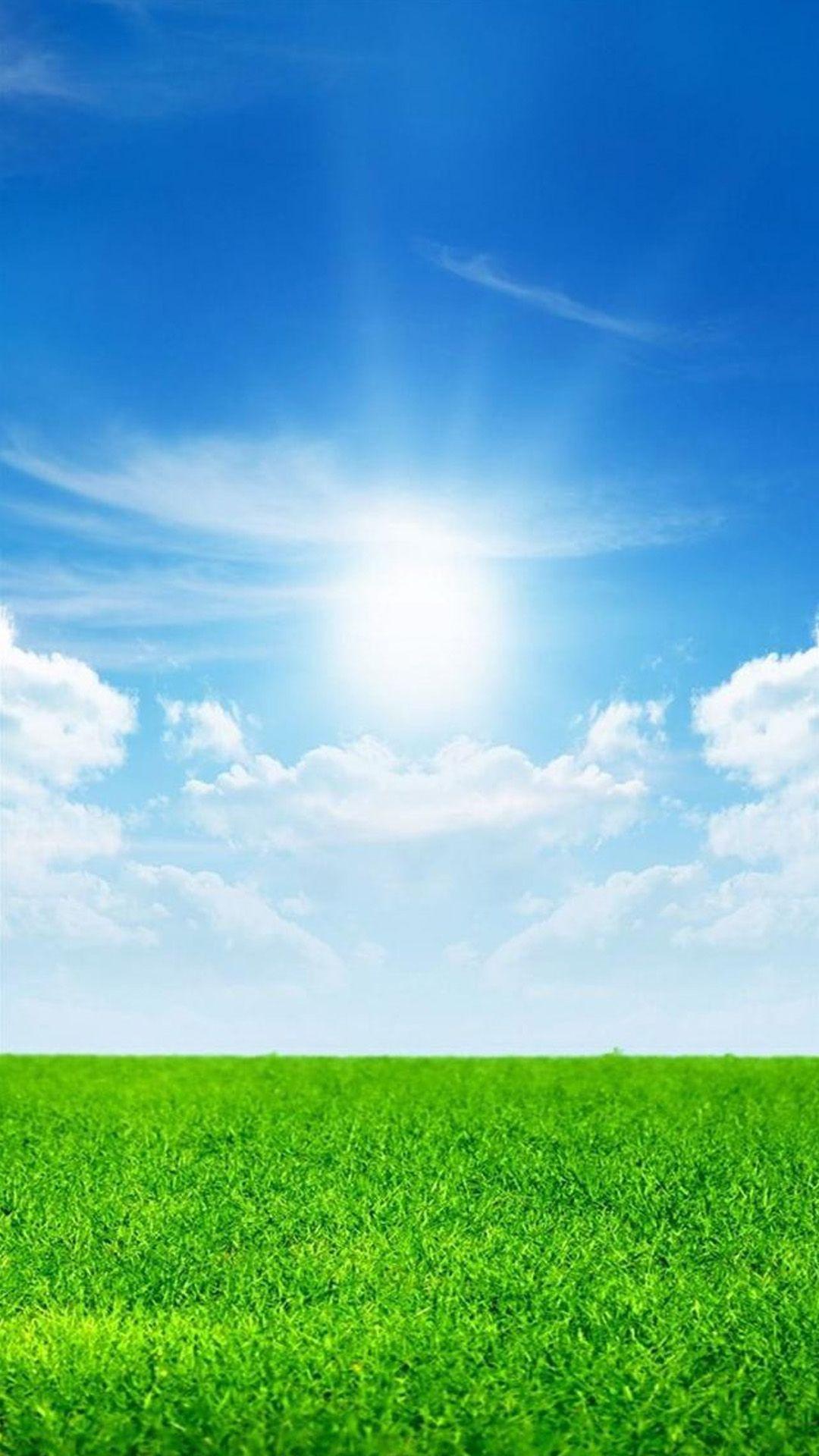 1080x1920 Wheat Field Blue Sky Samsung S6 Wallpaper