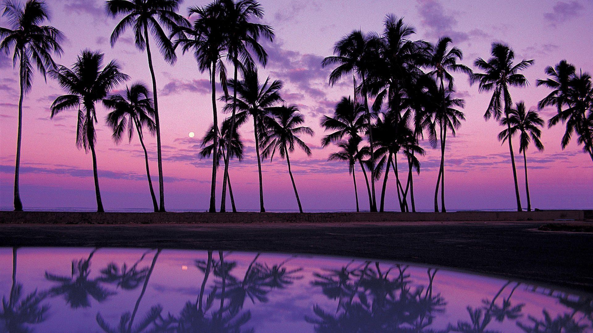 1920x1080 laptop background 15 Amazing Picture. Negeblog.com. Beach sunset wallpaper, Sunset wallpaper, Purple sunset