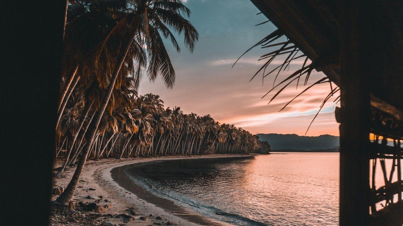 1366x768 Download 1366x768 Palm Trees, Holiday, Island, Beach, Sunset Wallpaper for Laptop, Notebook