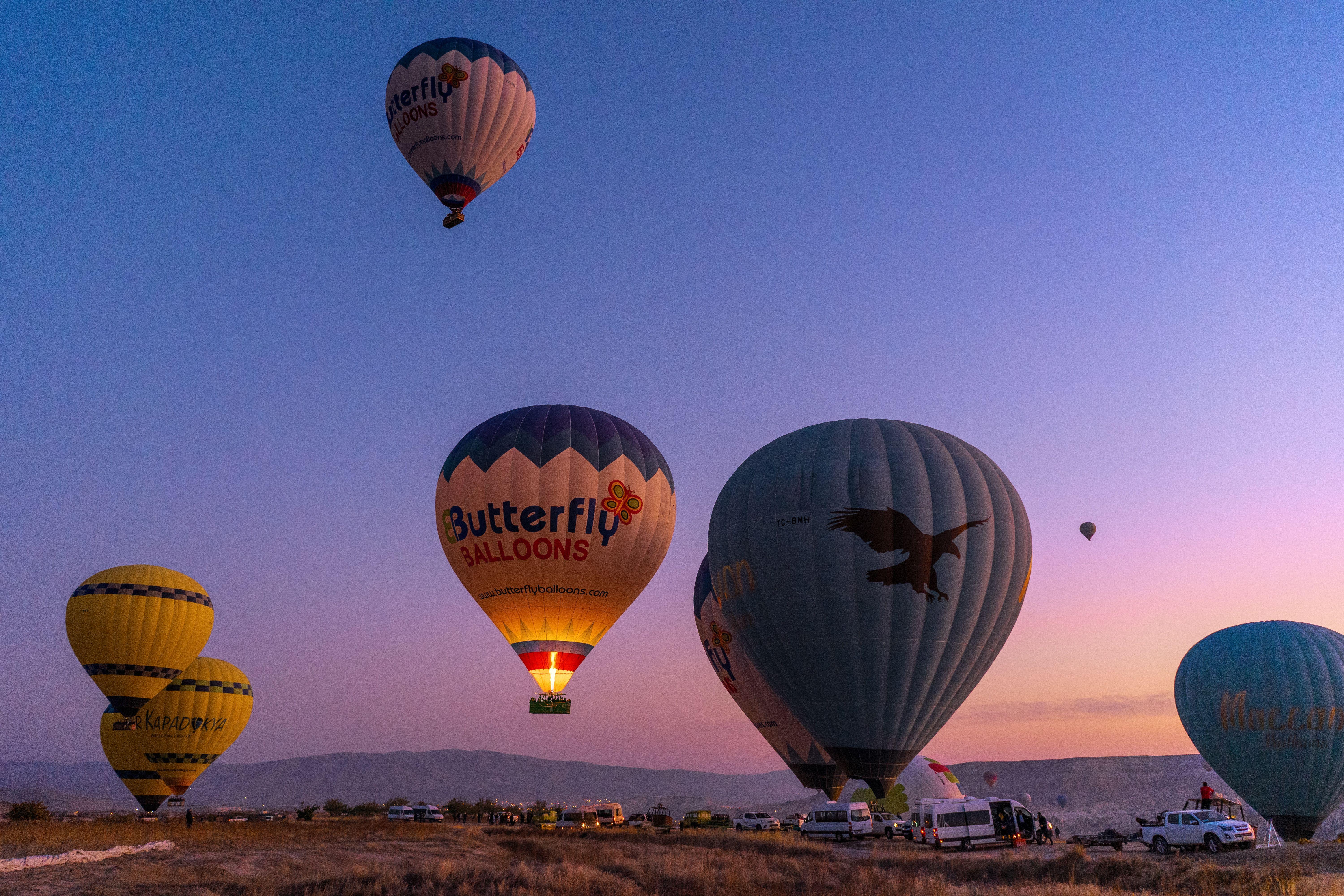 6000x4000 Hot Air Balloon Festival · Free