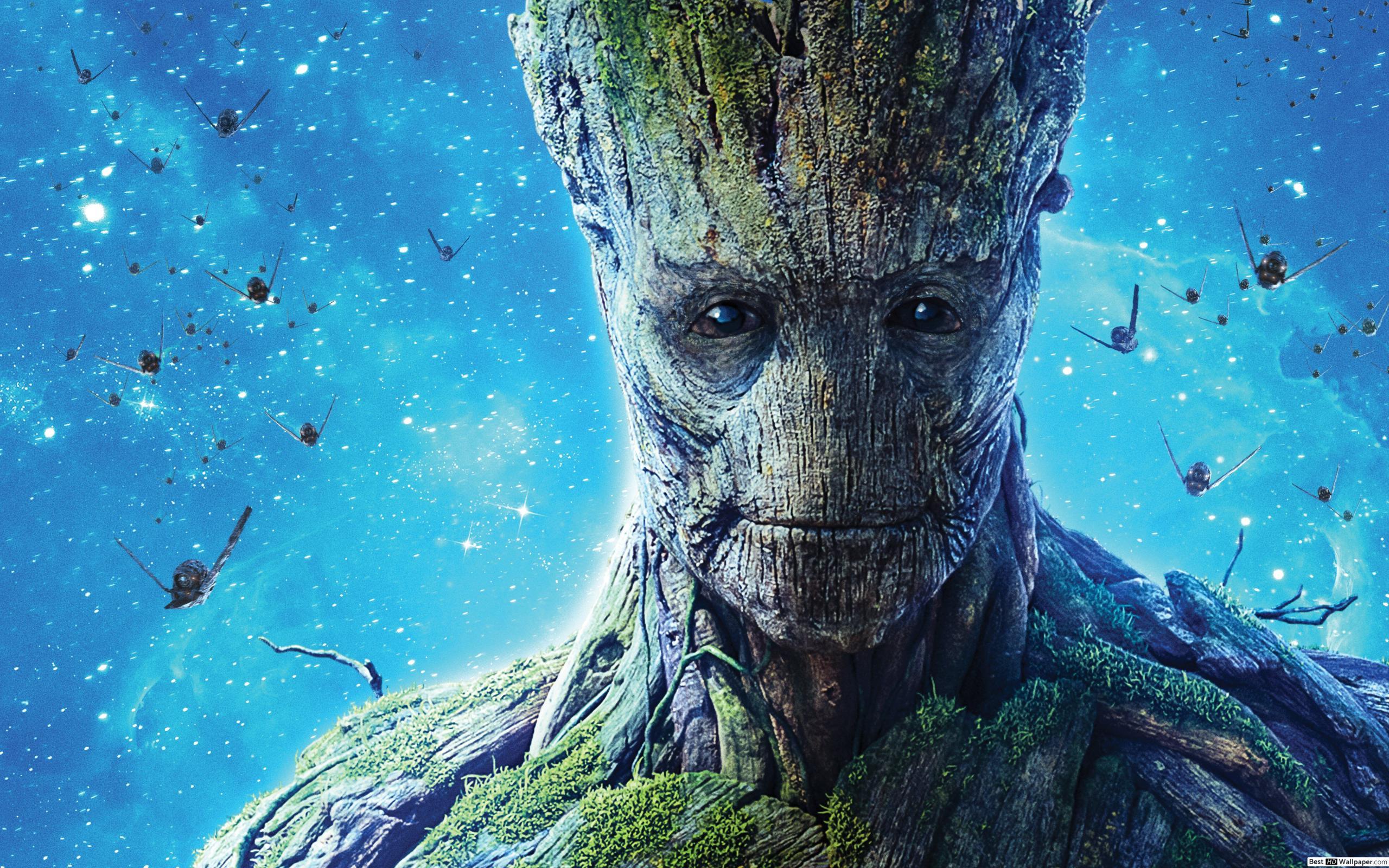 2560x1600 I am Groot HD wallpaper download