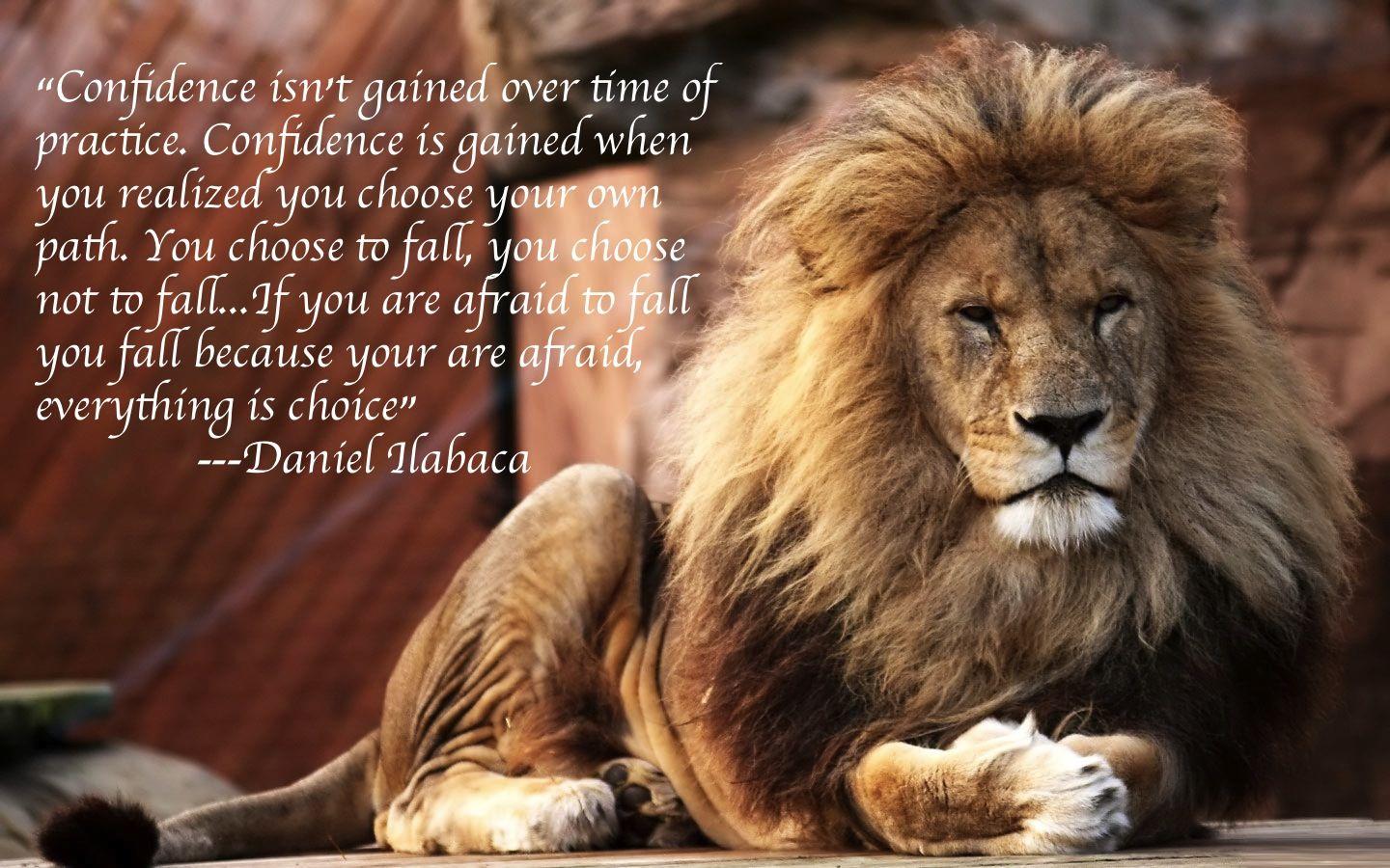 Lion Quotes Wallpapers - Top Free Lion Quotes Backgrounds - Wallpaperaccess