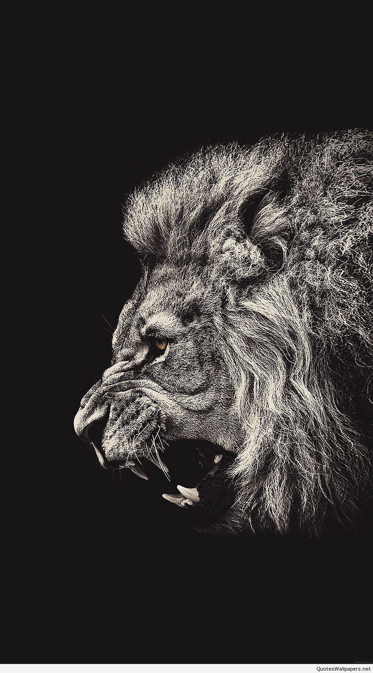 1242x2238 Lion Art Wallpaper