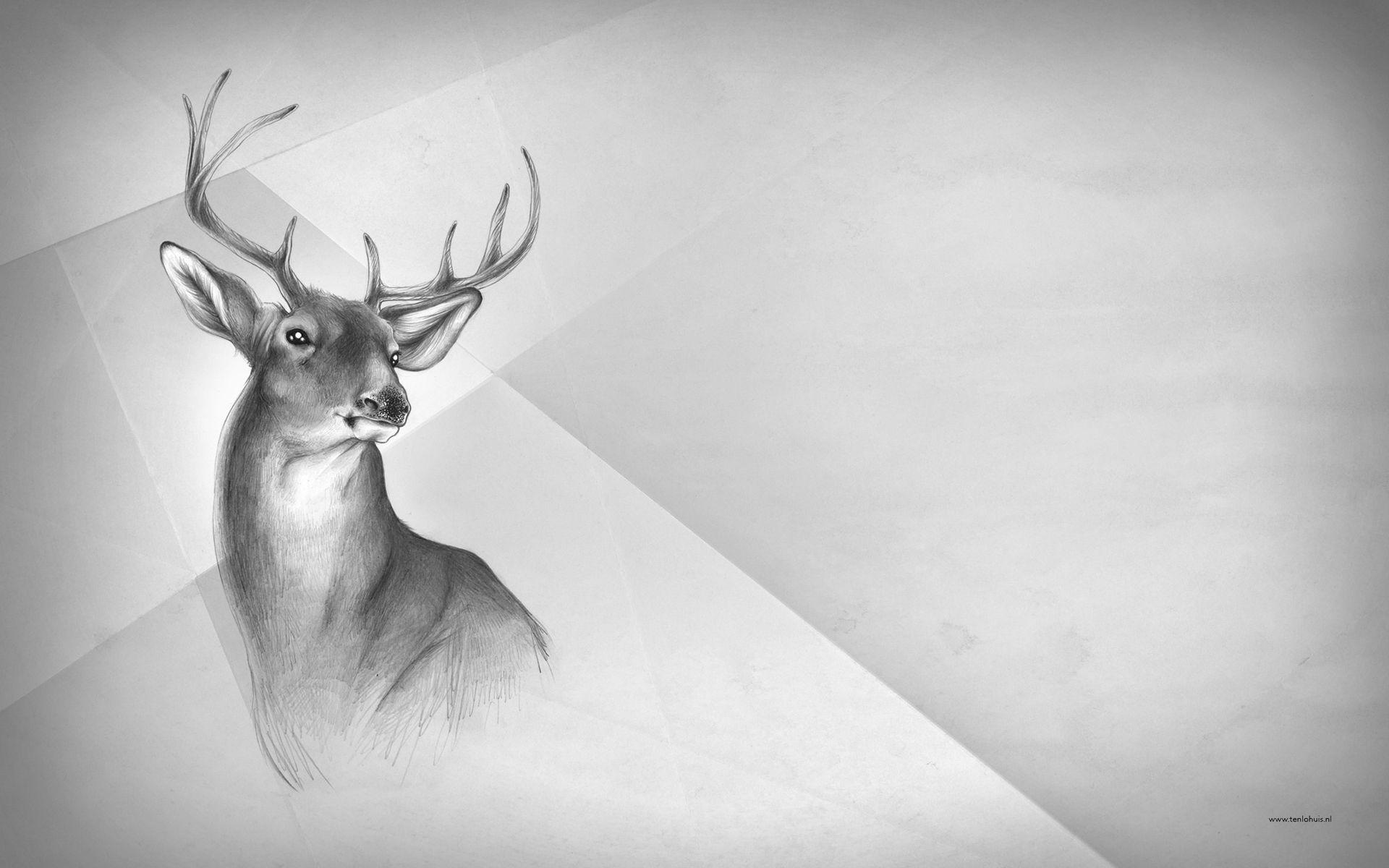 1920x1200 Wallpaper of the Week by Sabine Ten Lohuis
