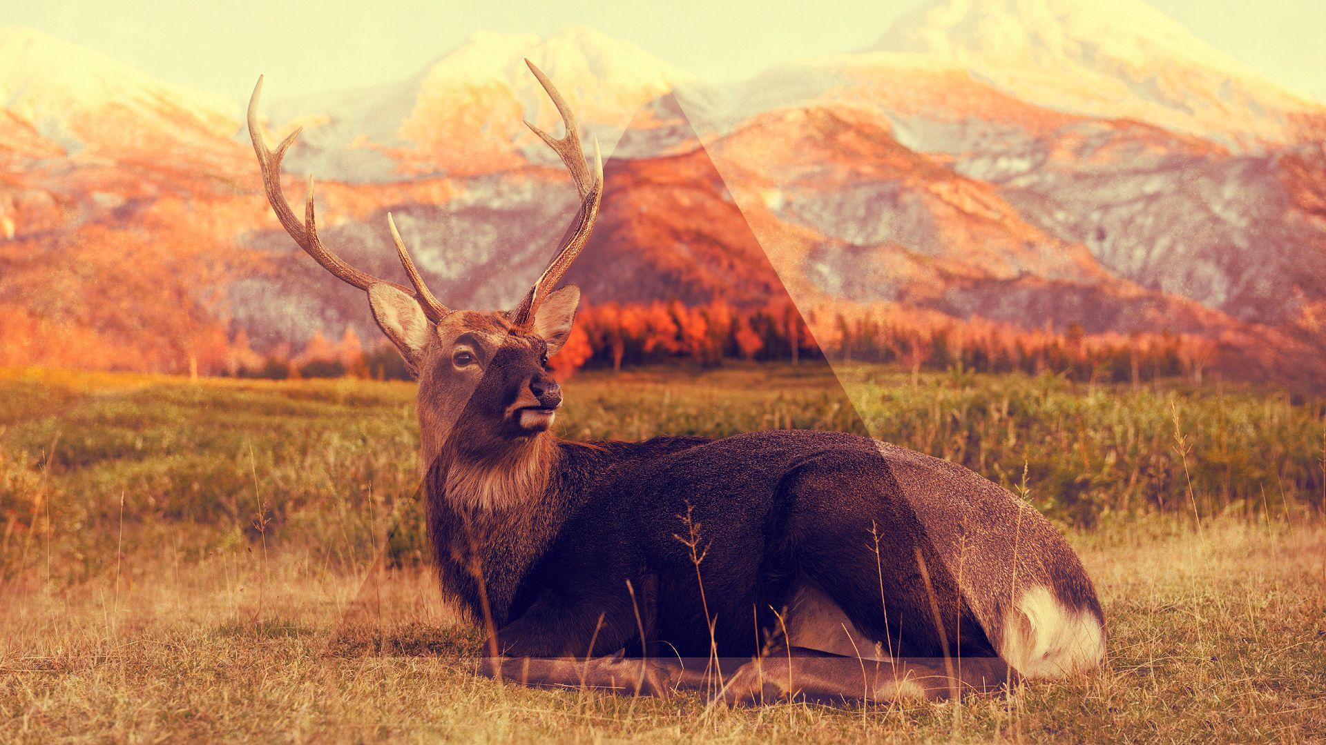 1920x1080 Hipster Art HD Wallpaperx1080