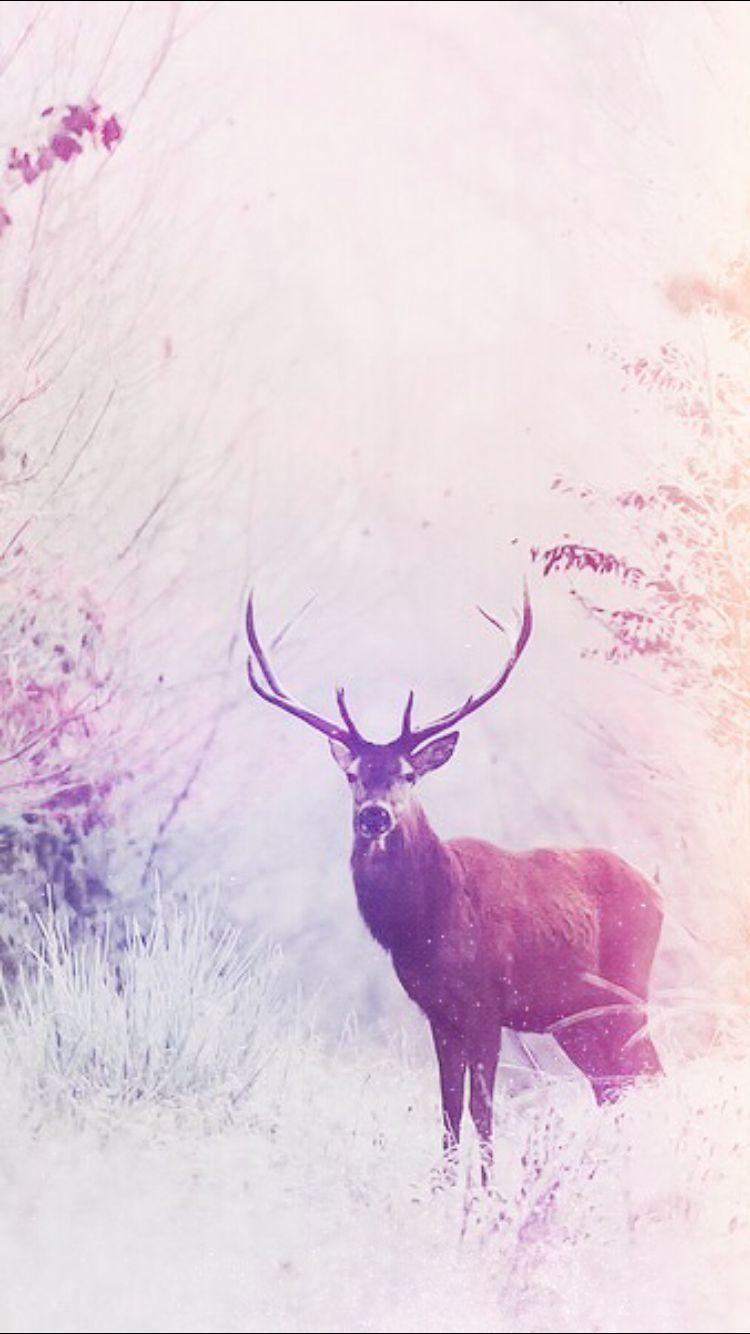 750x1334 I. Wallpaper, Art art and Artsy