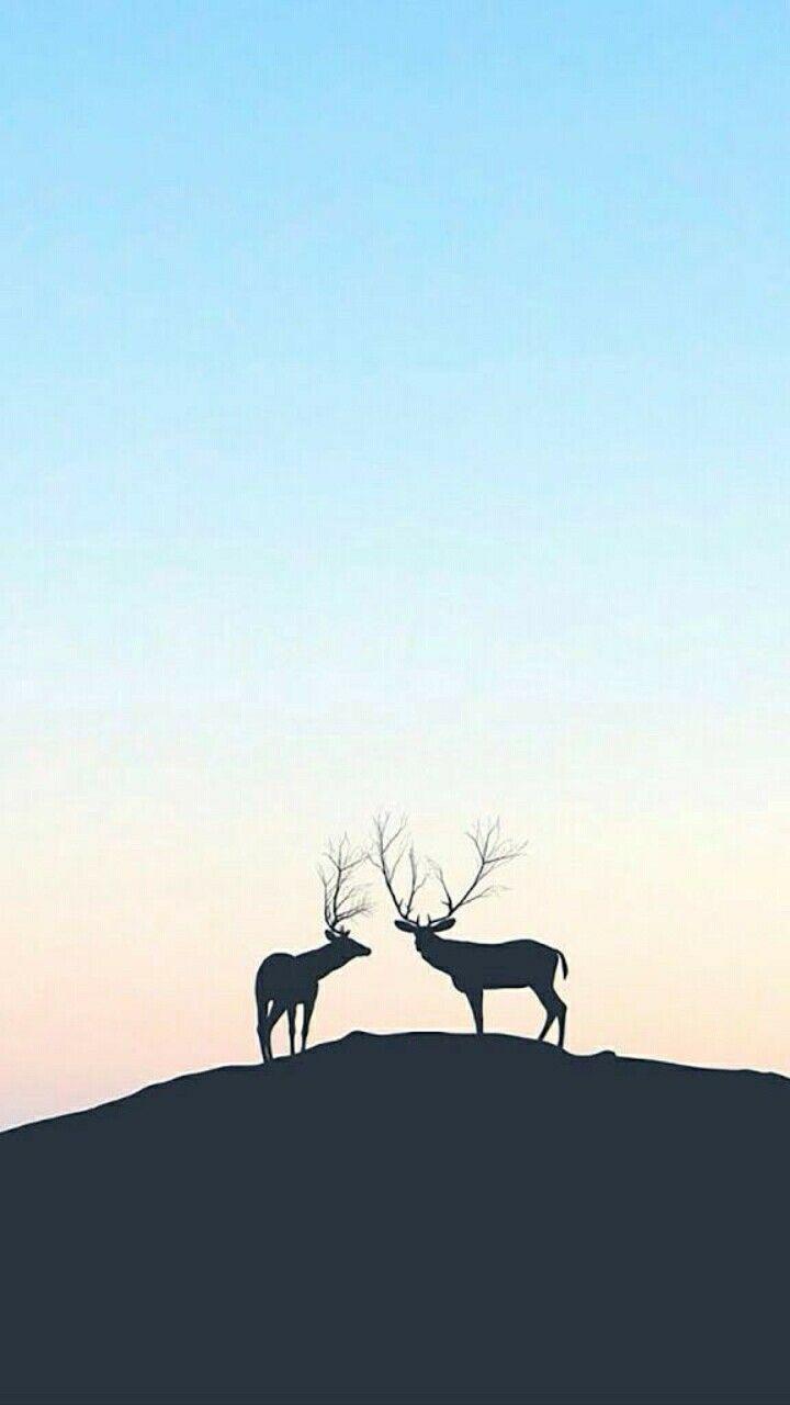 720x1280 Wallpaper