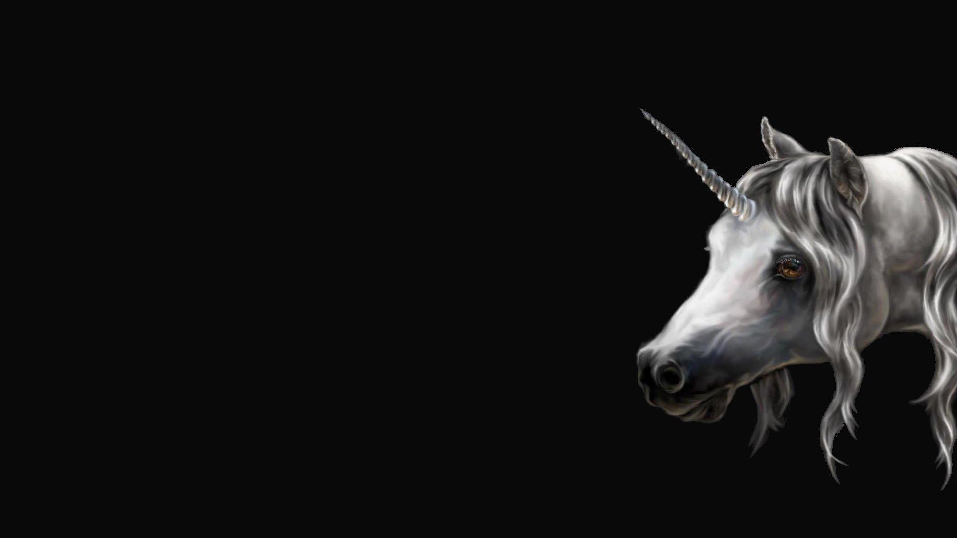 1920x1080 Unicorn wallpaper 1920x1080 Full HD (1080p) desktop background