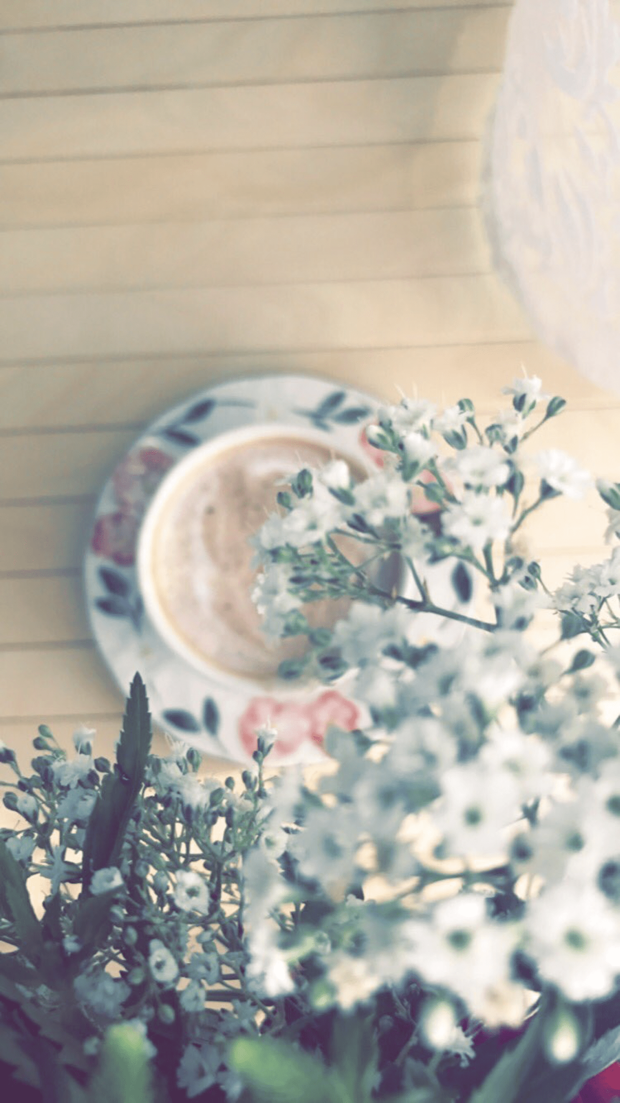 1242x2208 سناب موضي البليهد. Flower background