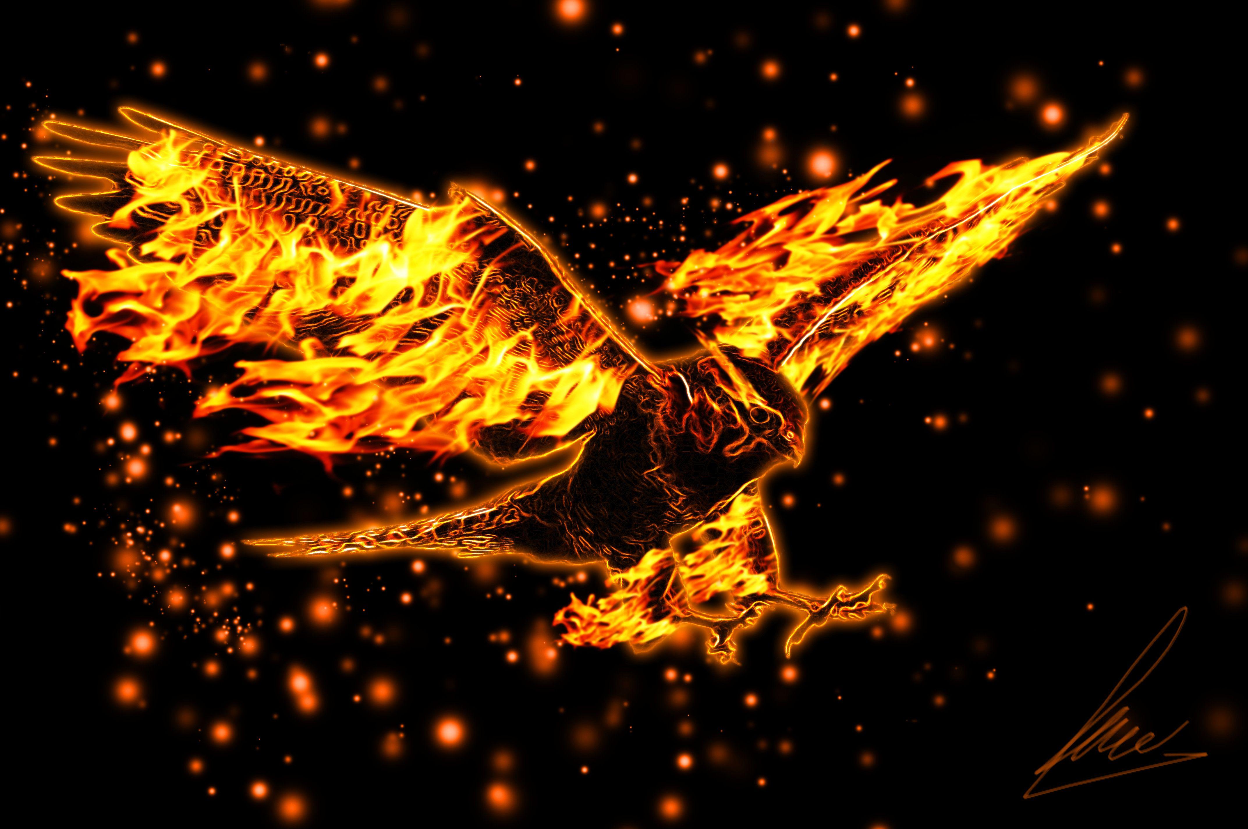 4288x2848 Fire Eagle 4k Ultra HD Wallpaper and Background Imagex2848