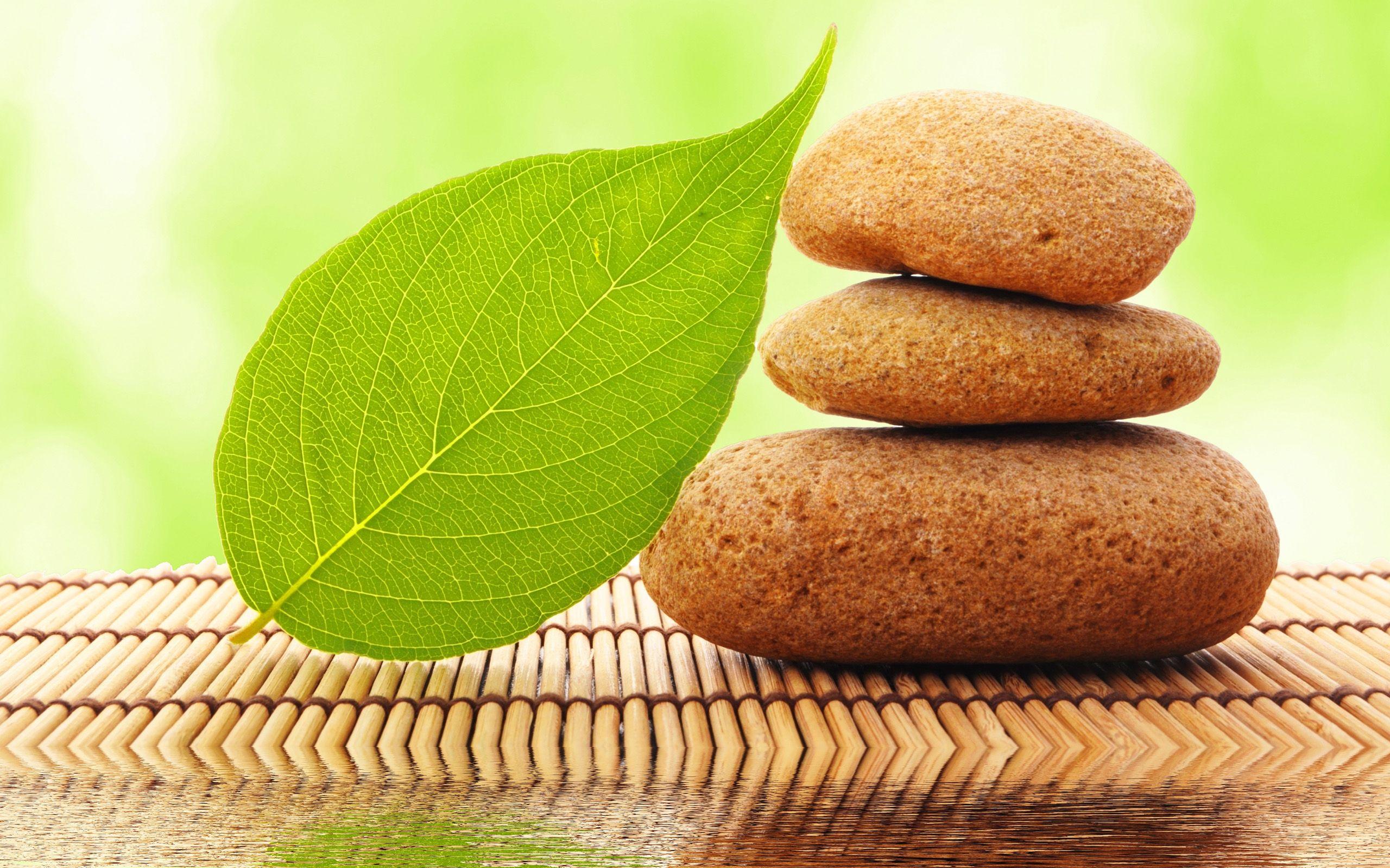 2560x1600 Leaf Stone Art wallpaperx1600