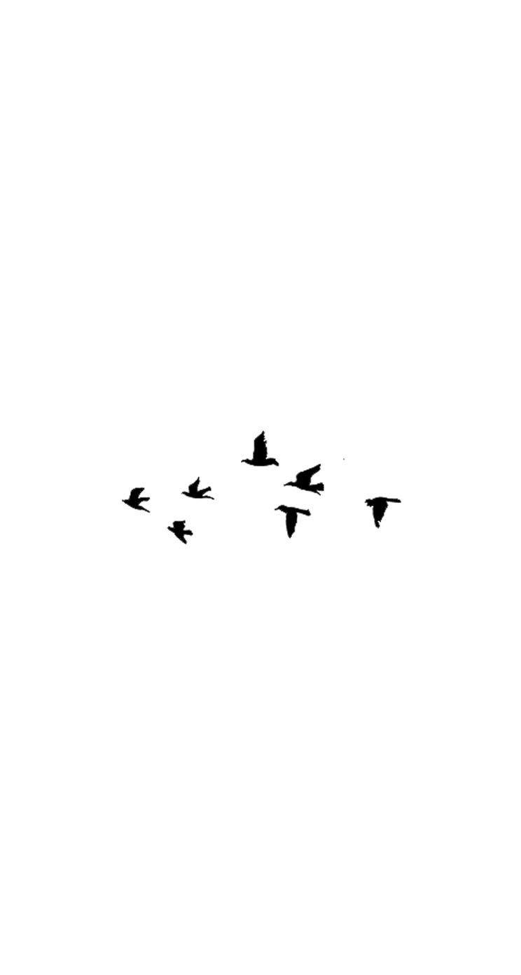 744x1392 lock and home screens. White wallpaper for iphone, White background wallpaper, White wallpaper
