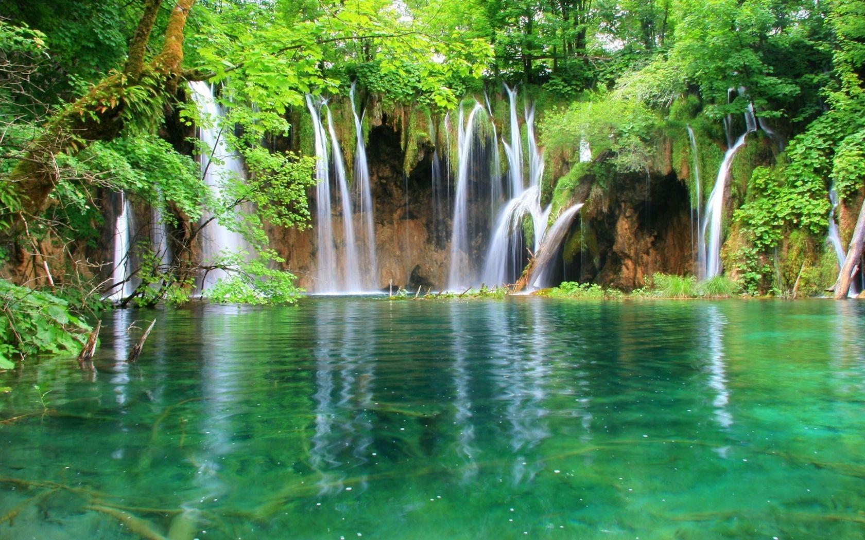 1680x1050 Free download Jungle Wallpaper HD Jungle [1920x1080]