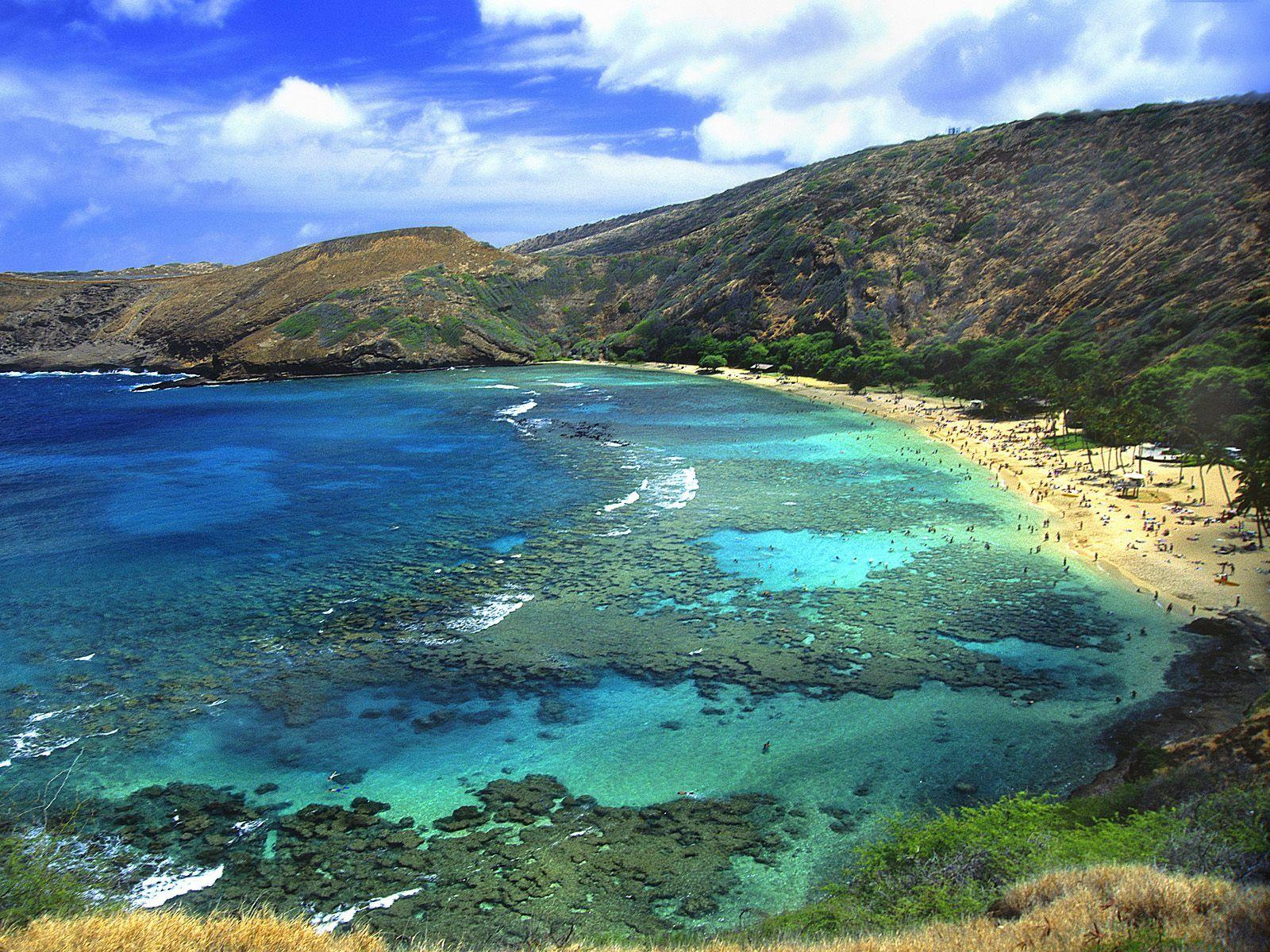 1600x1200 Free download Waikiki Oahu Hawaii wallpaper [1600x1200]