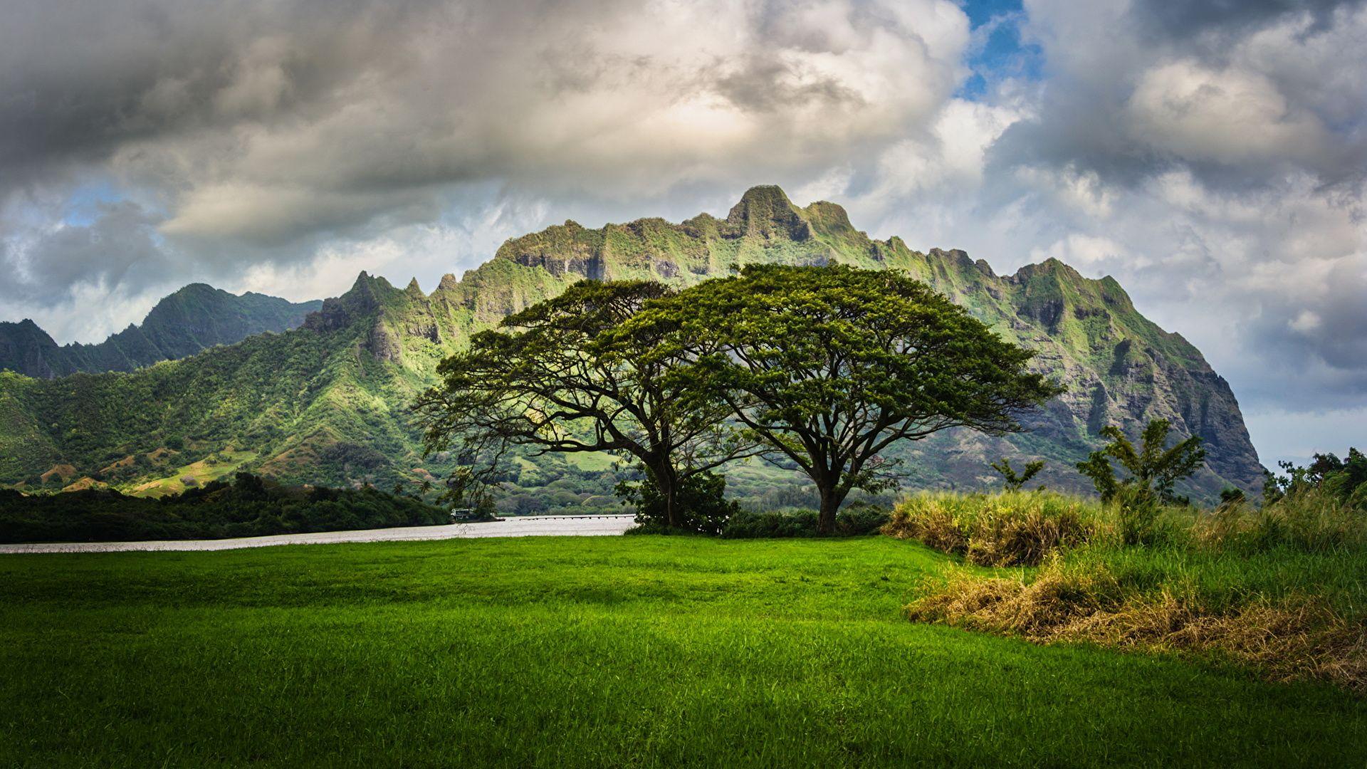 1920x1080 image Hawaii Oahu Nature Mountains Scenery Grass Clouds 1920x1080
