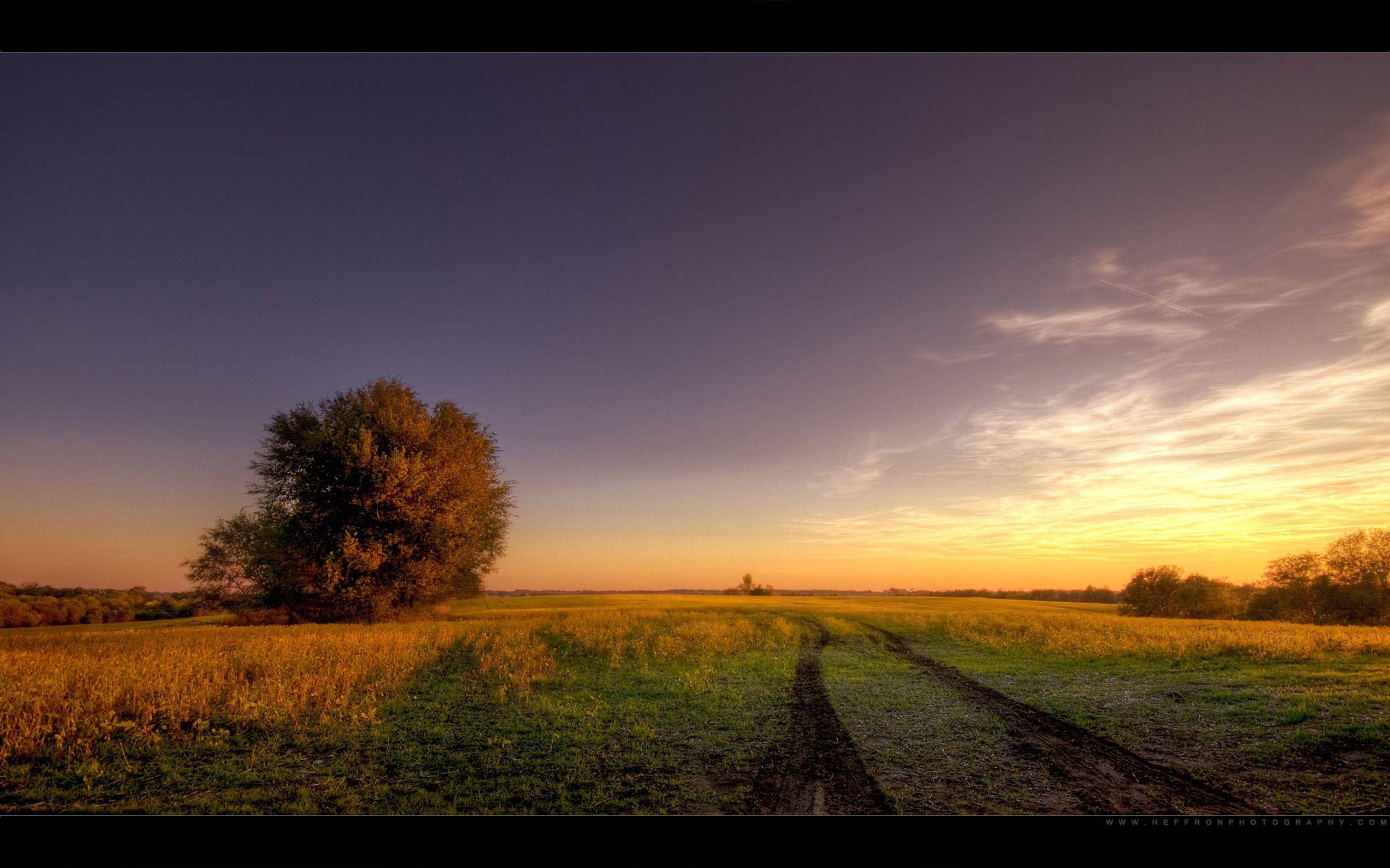 2560x1600 Dawn HD wallpaperx1600