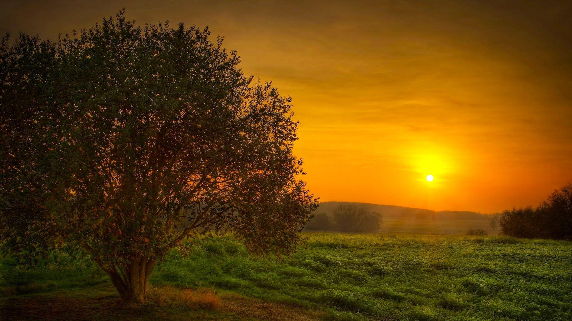 1920x1080 More Beautiful Nature Dawn Wallpaper