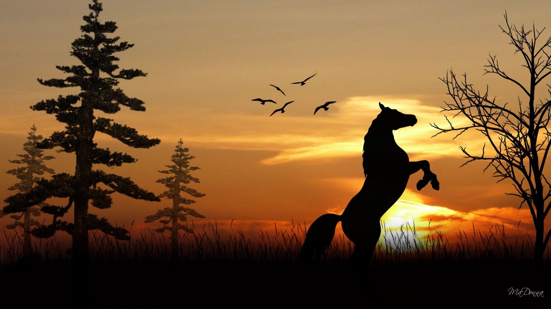 1920x1080 HQFX Horse Wallpaper Archives (40)