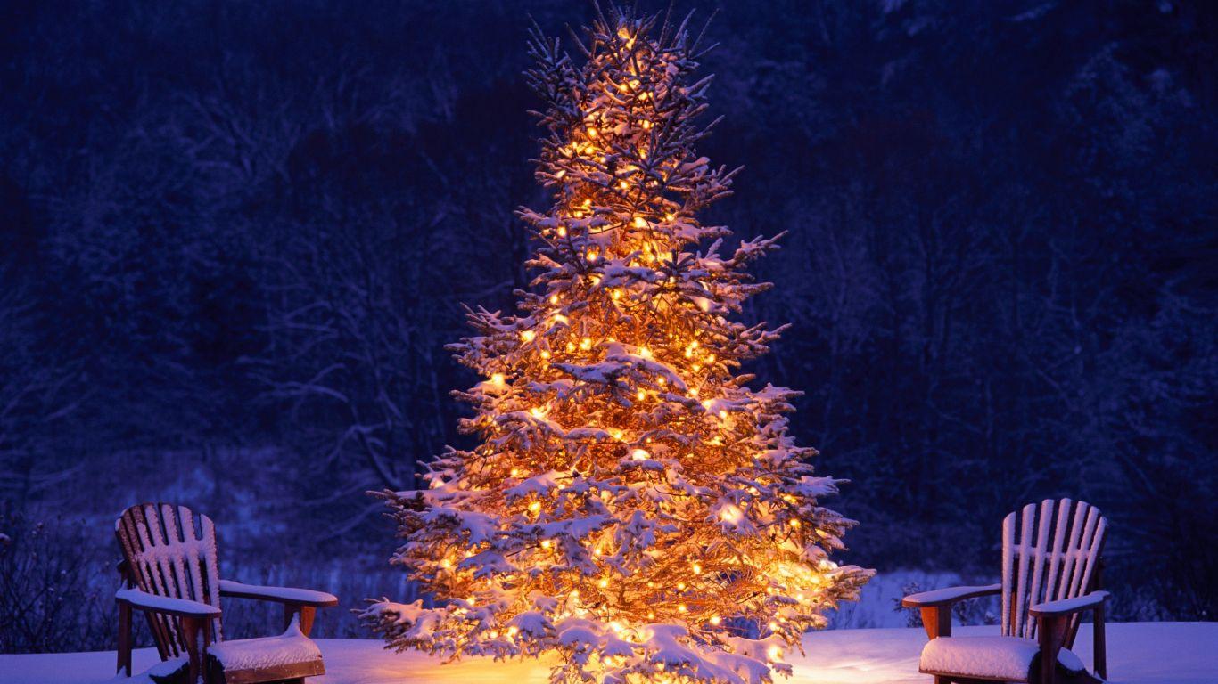 1366x768 Download 1366x768 wallpaper christmas tree, chairs, winter