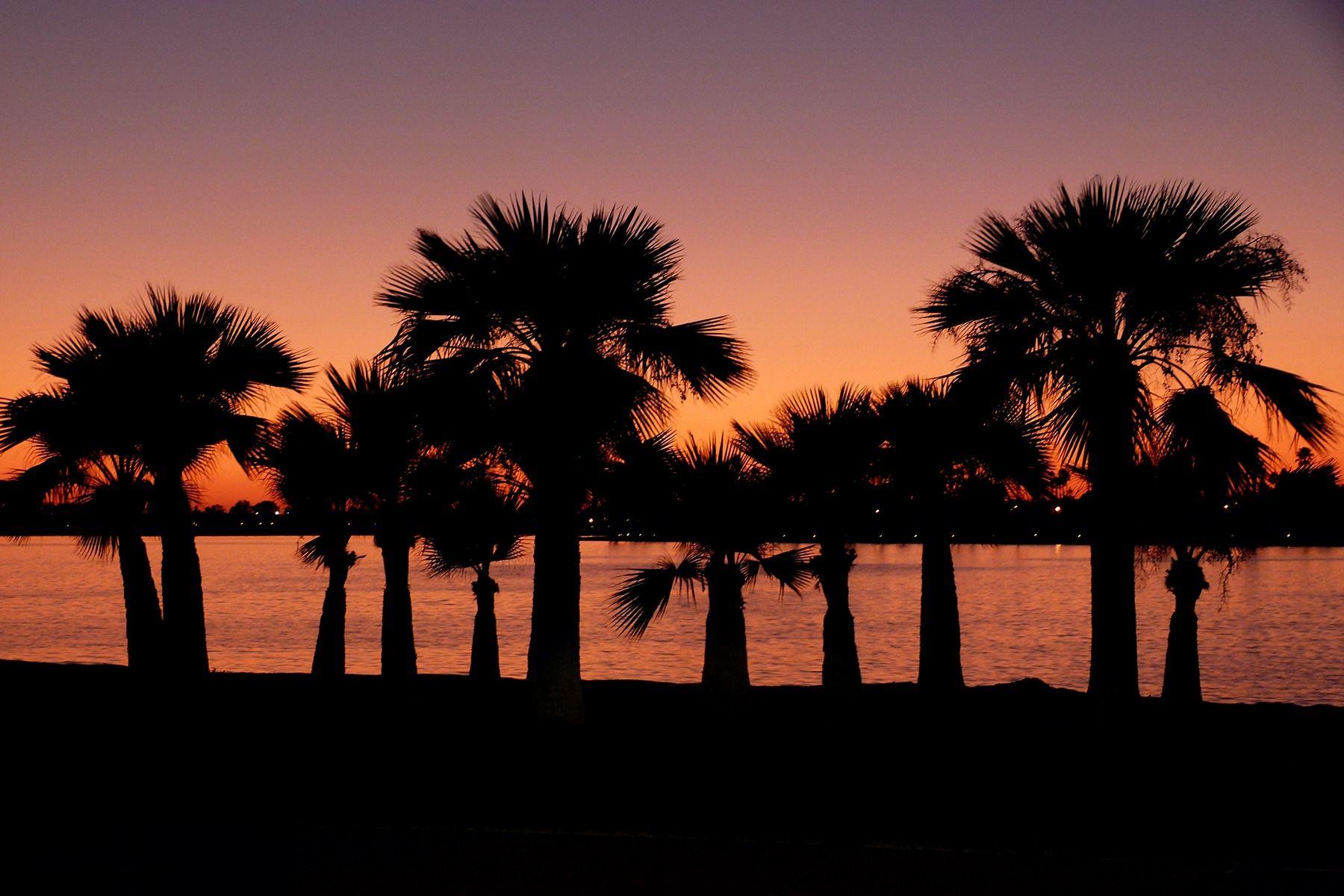 1800x1200 Download wallpaper 1800x1200 san diego, california, palm, night HD
