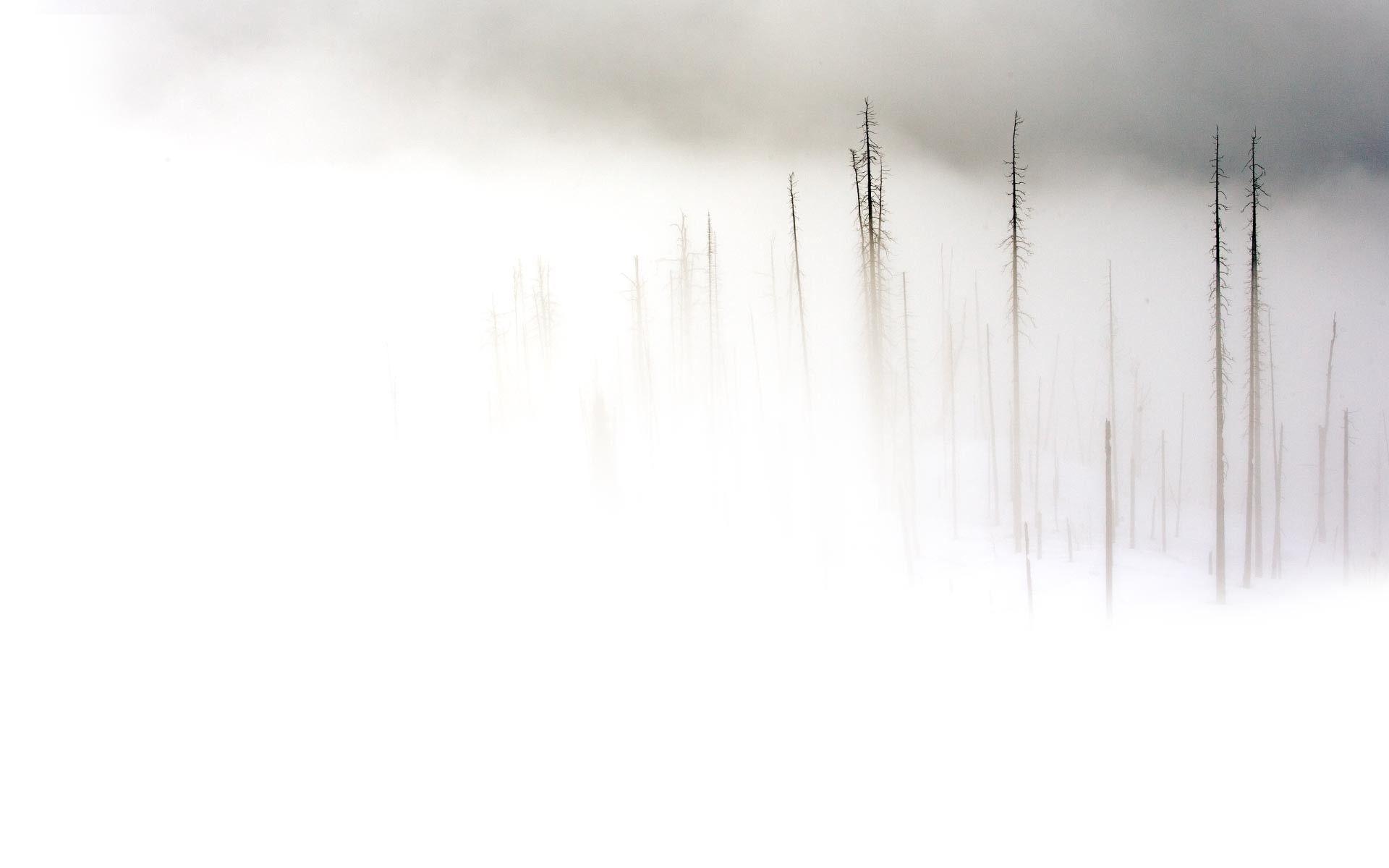 1920x1200 White Wallpaper Background