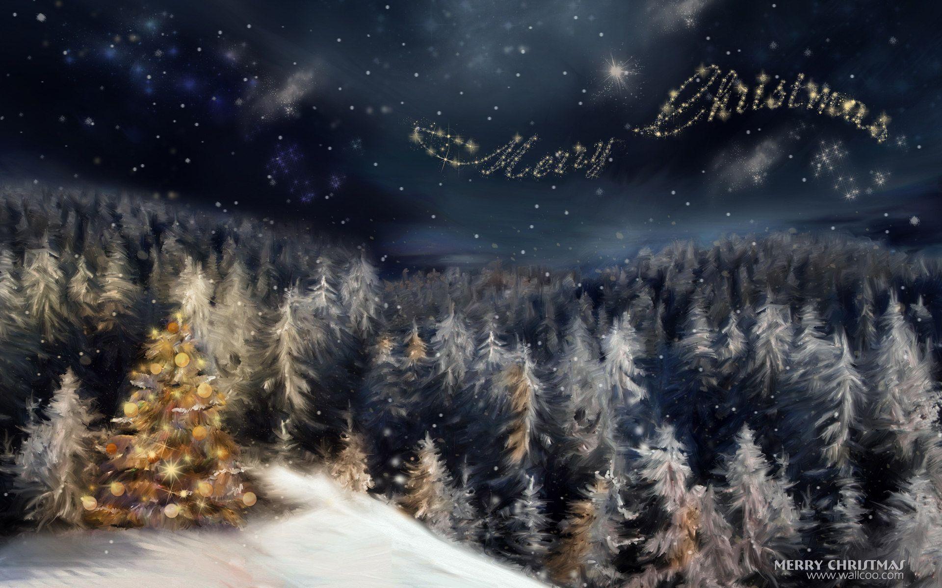 1920x1200 Christmas Night Forest