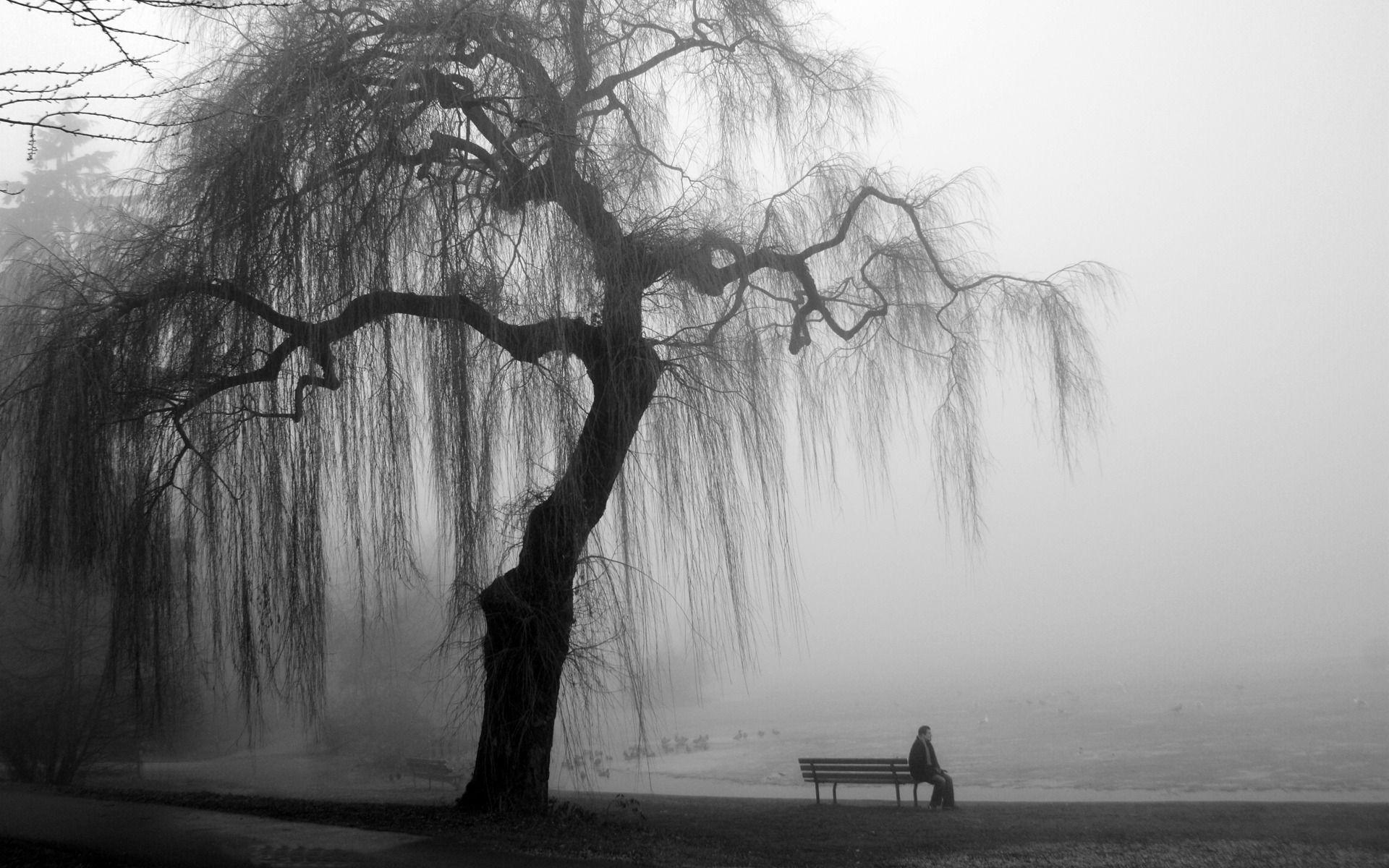 1920x1200 Black & White HD Wallpaper